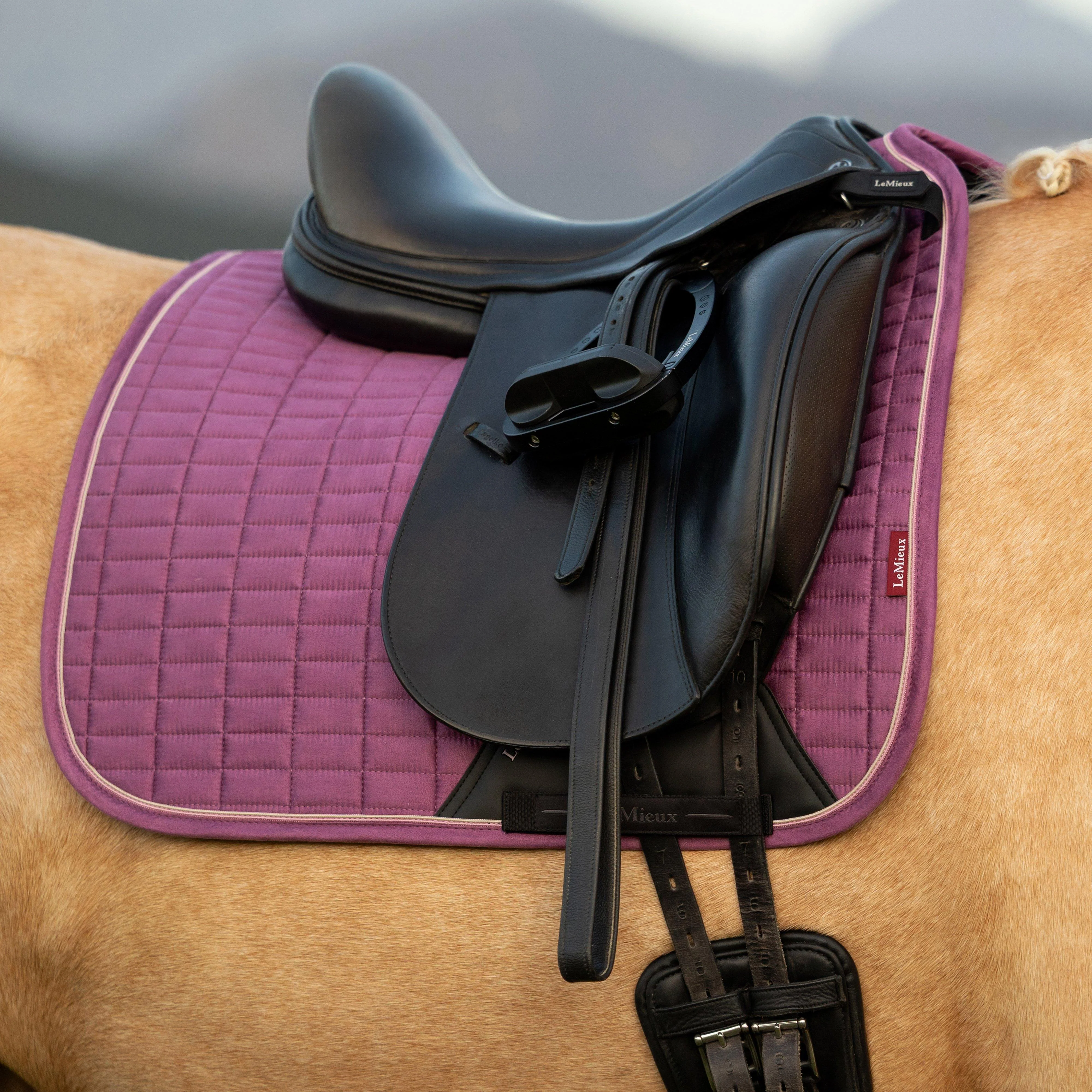 Suede Dressage Saddle Pad Mallow - Image 2