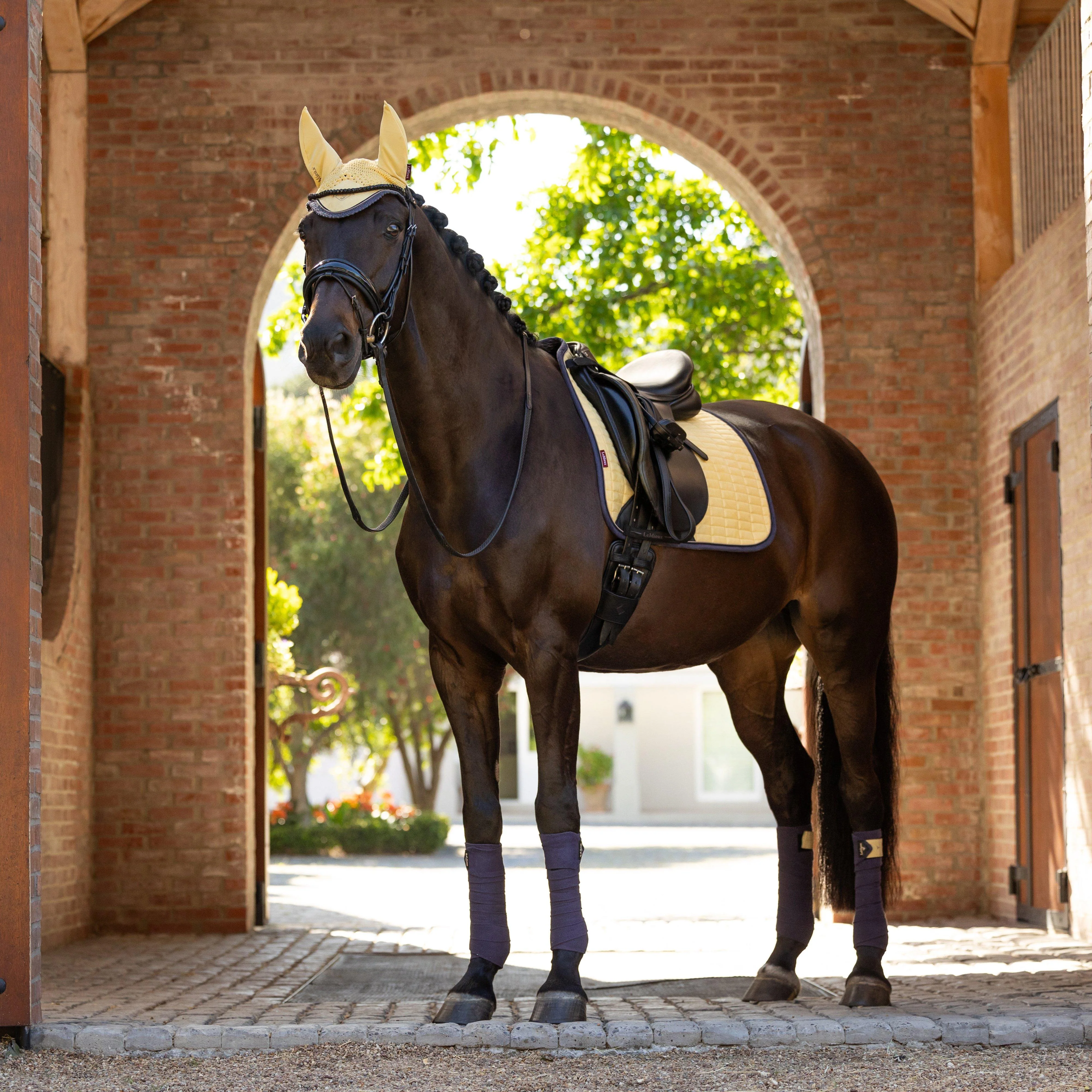Suede Dressage Saddle Pad Mimosa - Image 3