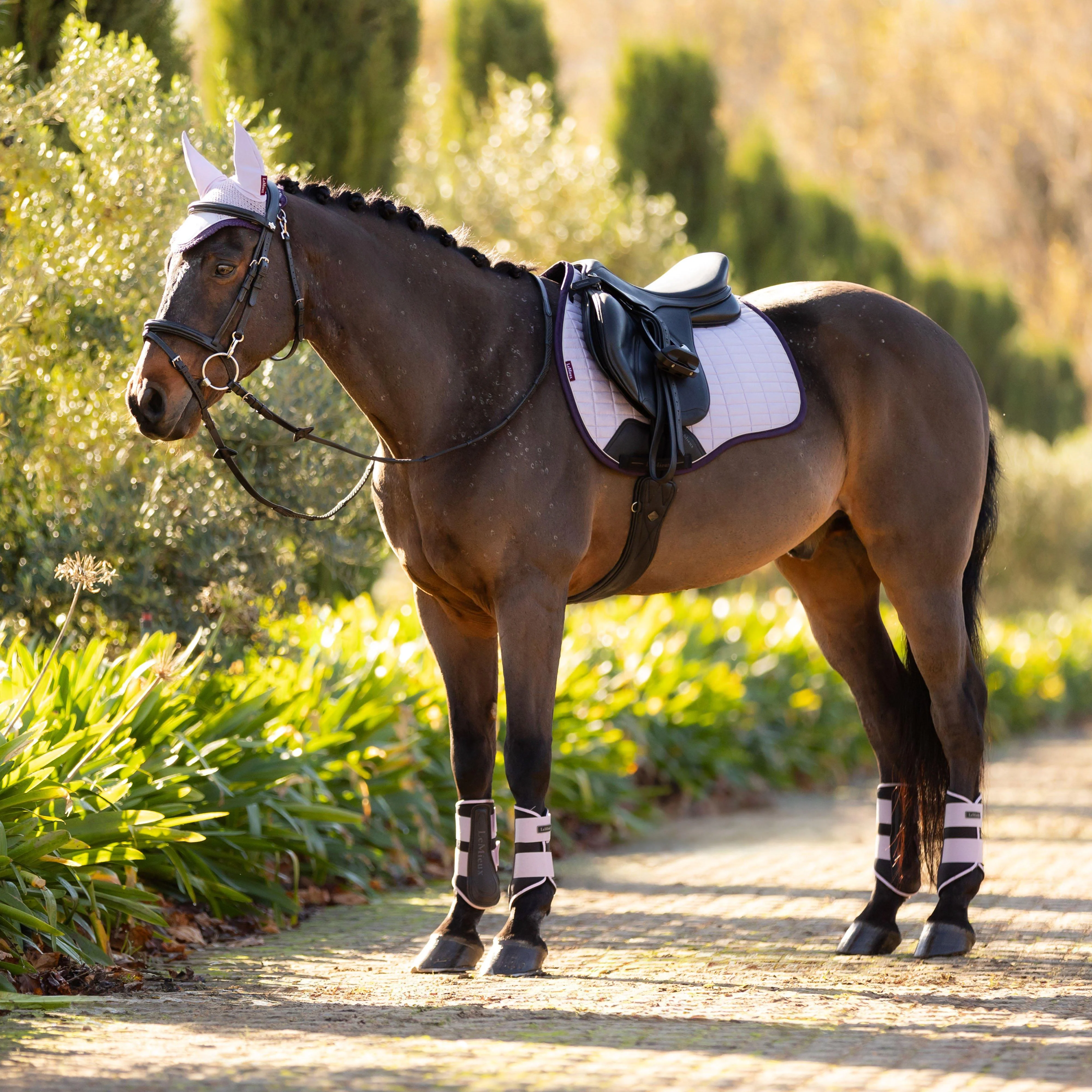 Suede GP Saddle Pad Lilac - Image 4