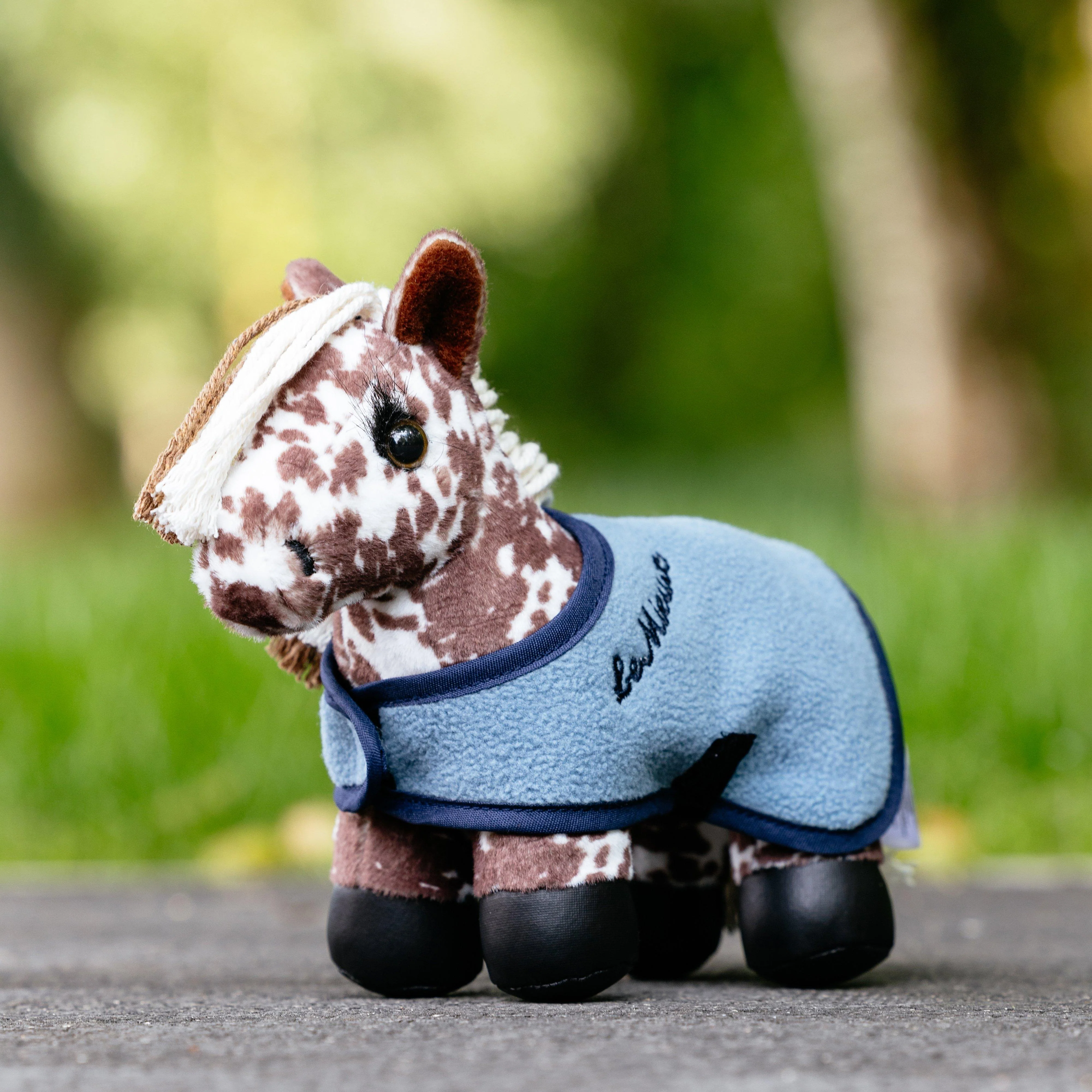 Tiny Pony Montana - Image 3