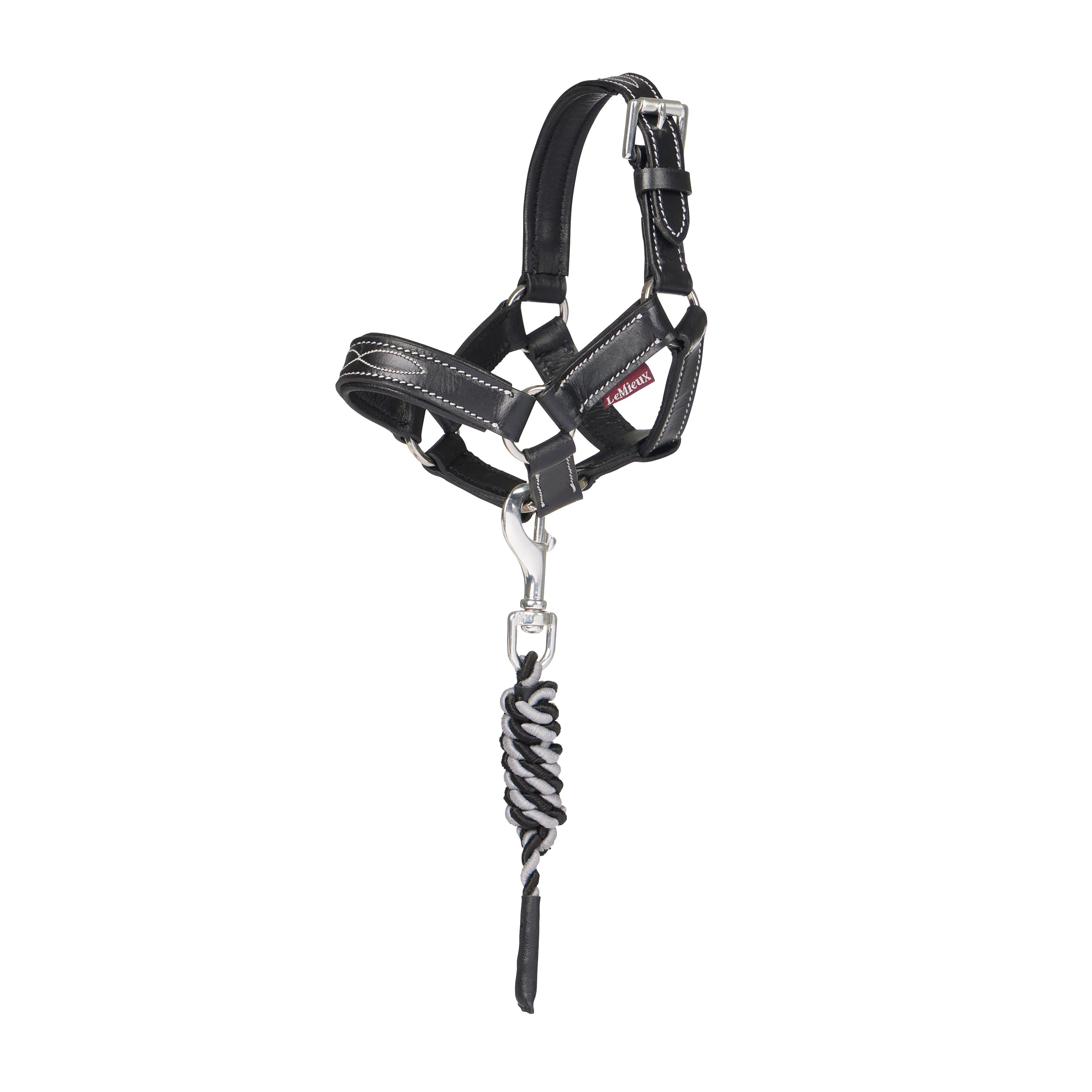 Toy Pony Headcollar Black Leather - Image 4