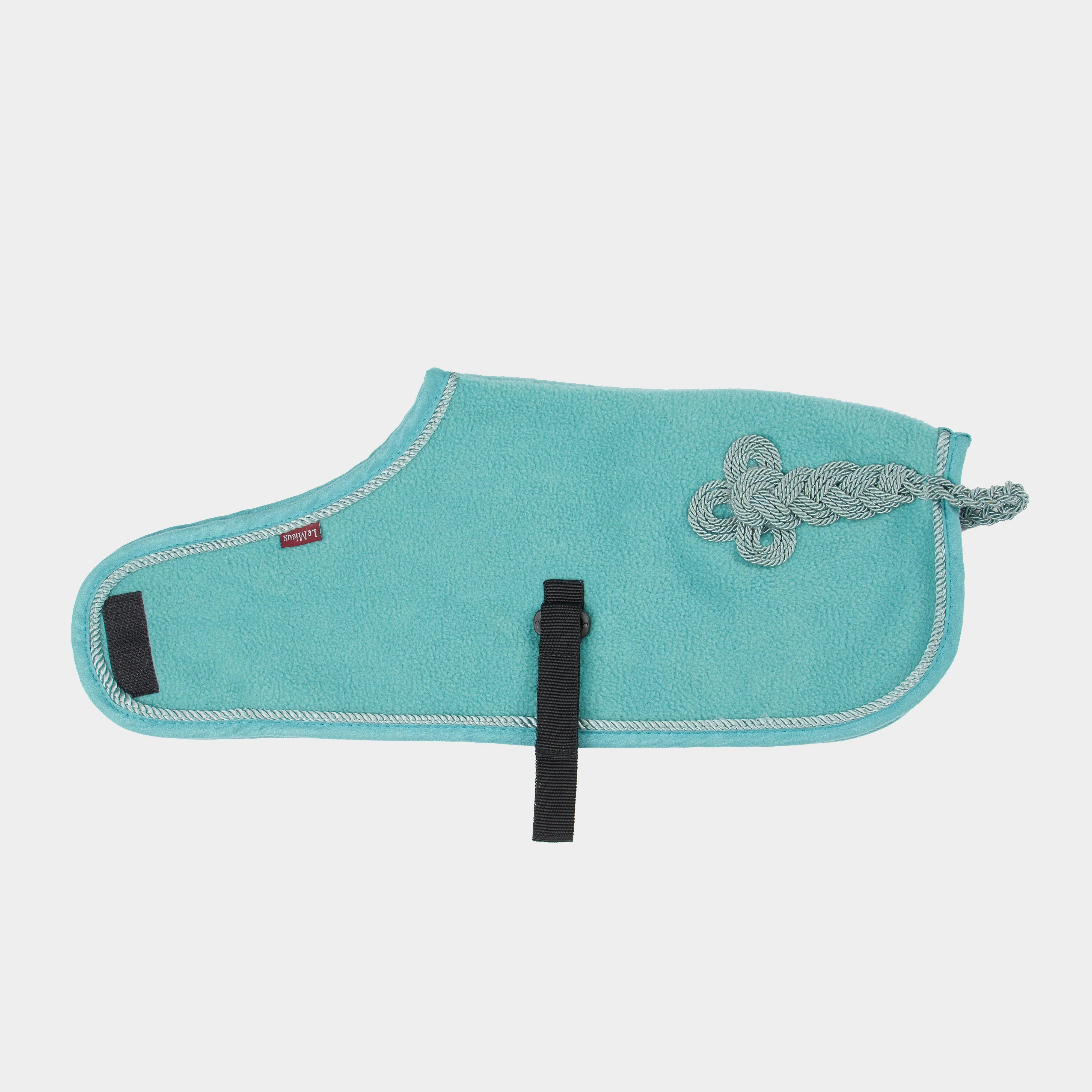 Toy Pony Rug Lagoon