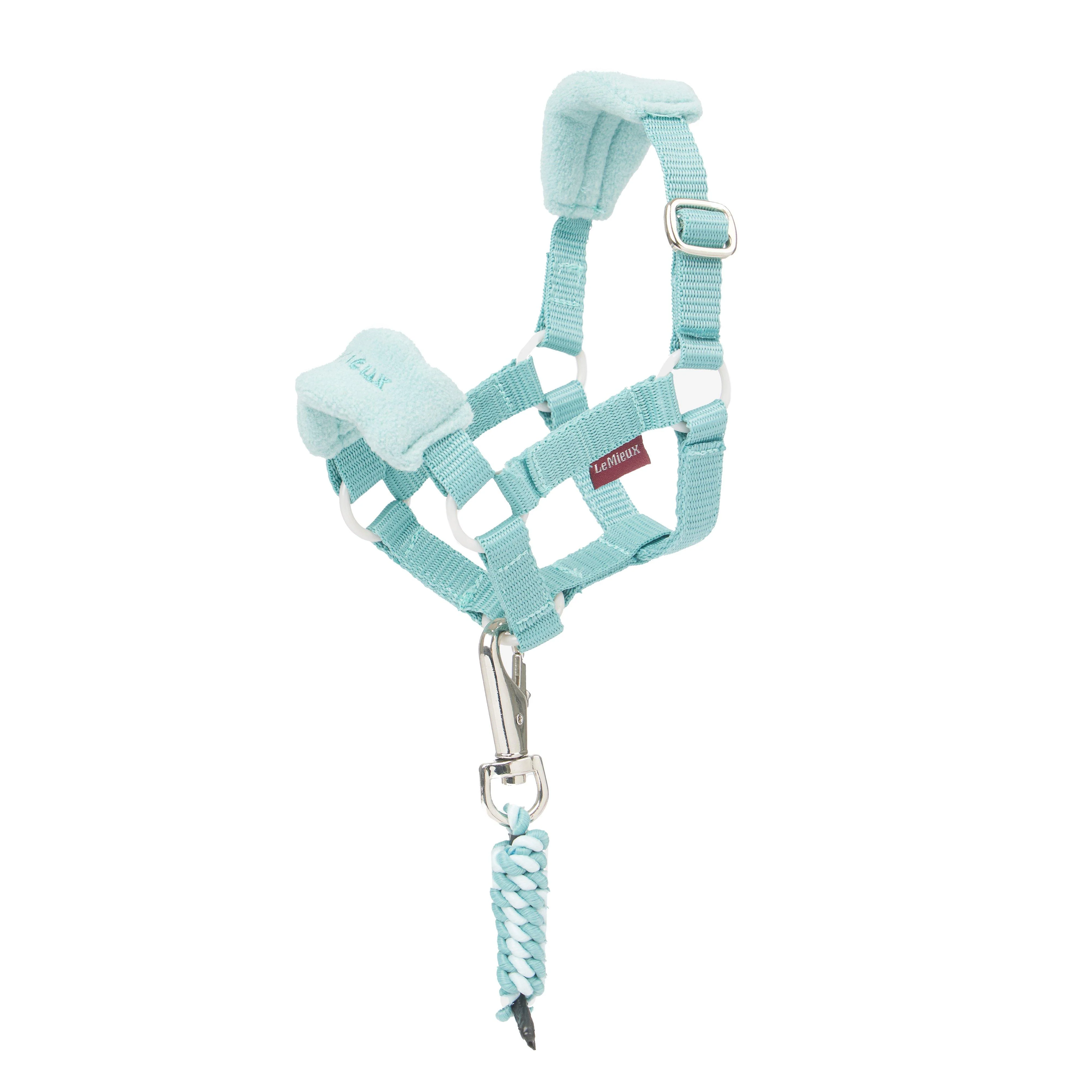 Toy Pony Vogue Headcollar & Leadrope Lagoon - Image 2