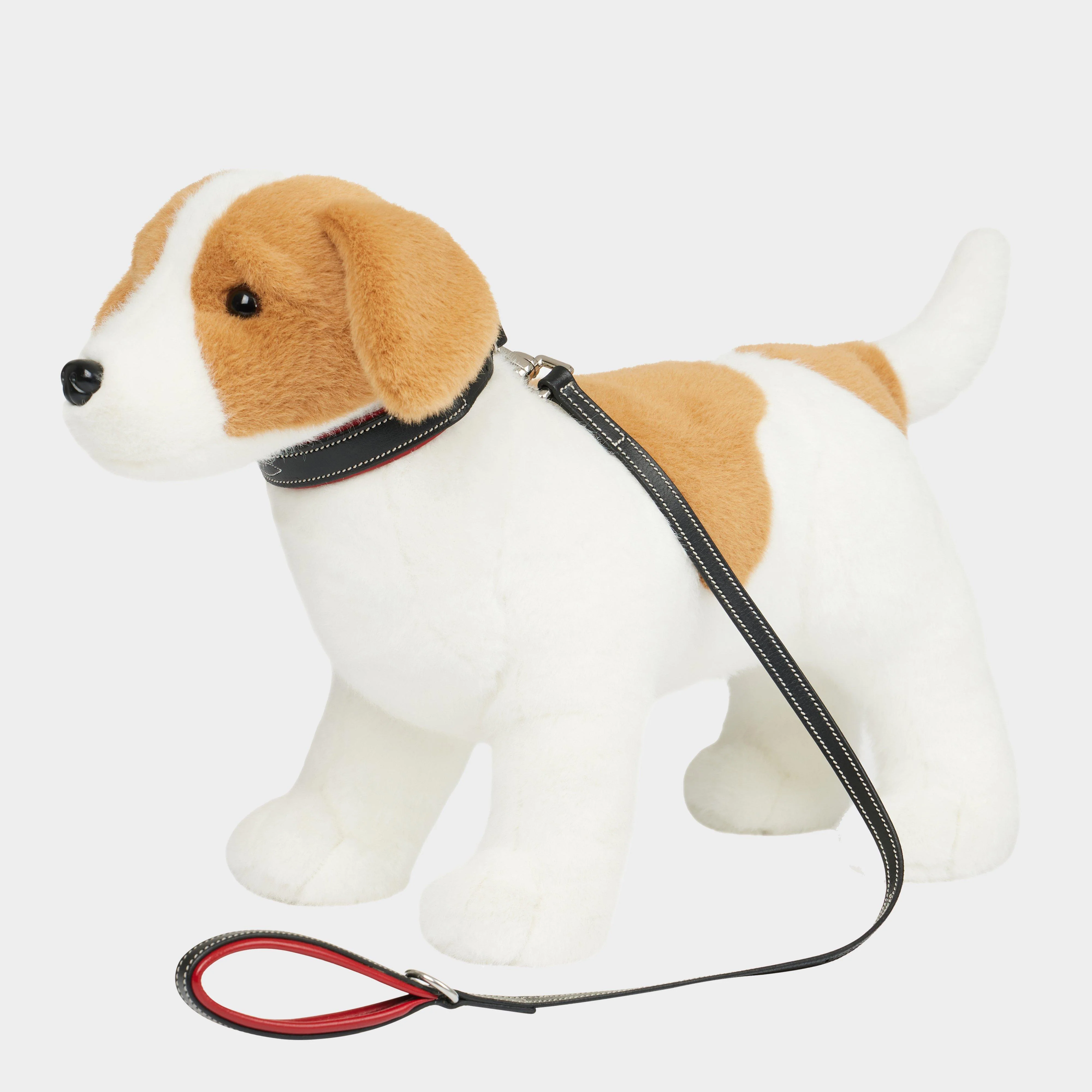 Toy Puppy Collar & Lead Chilli - Image 2