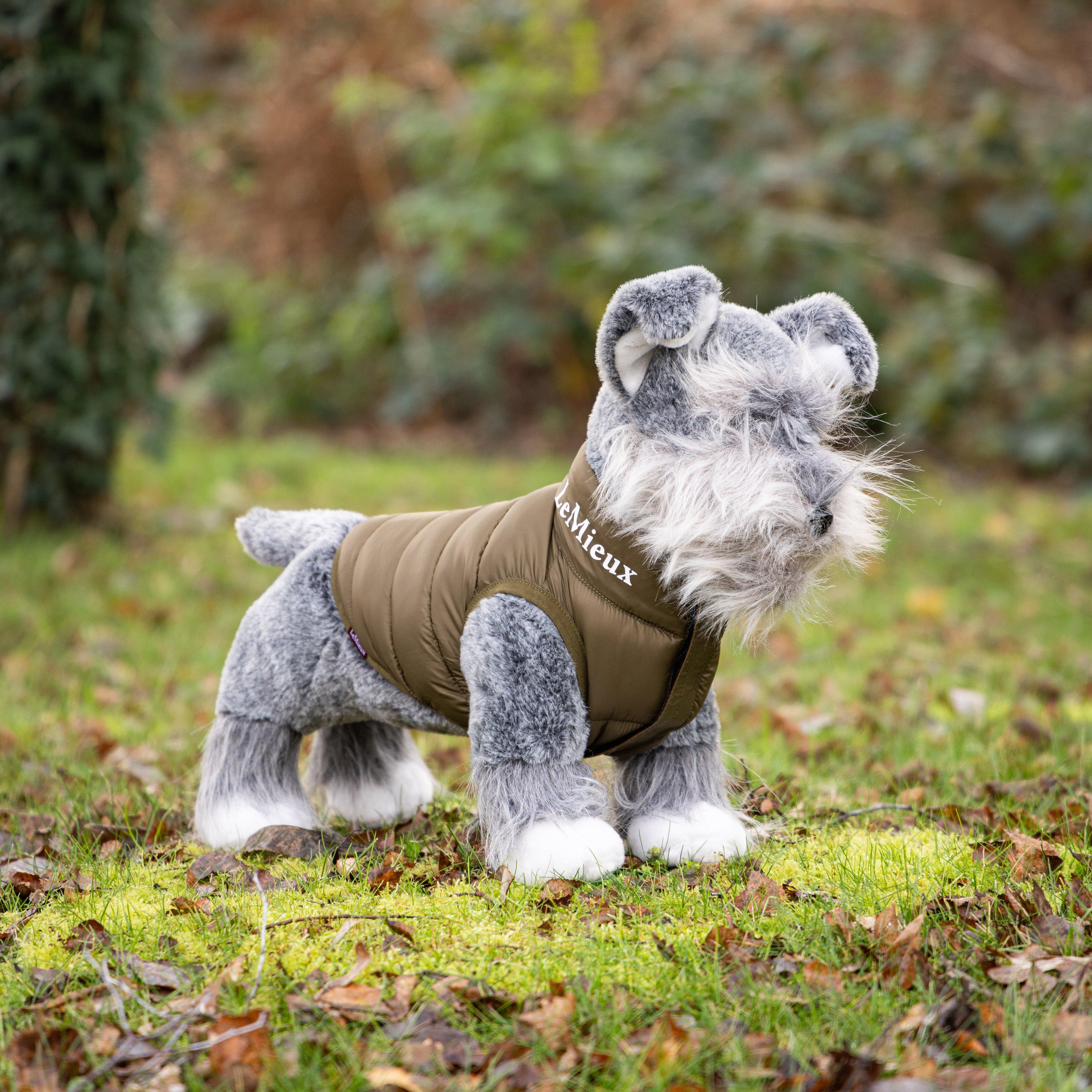 Toy Puppy Puffer Coat Ginger - Image 2