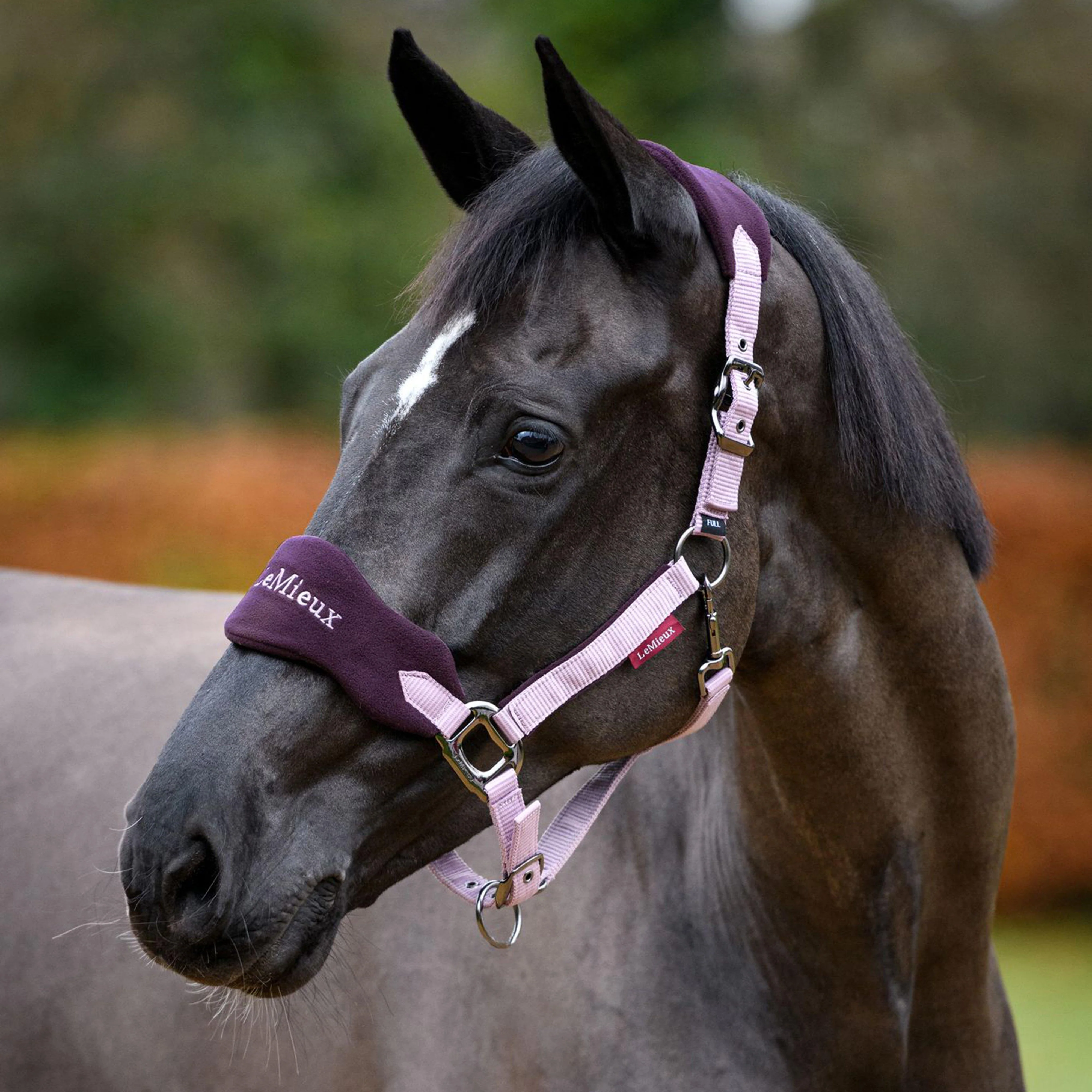 Vogue Headcollar and Leadrope Fig - Image 7