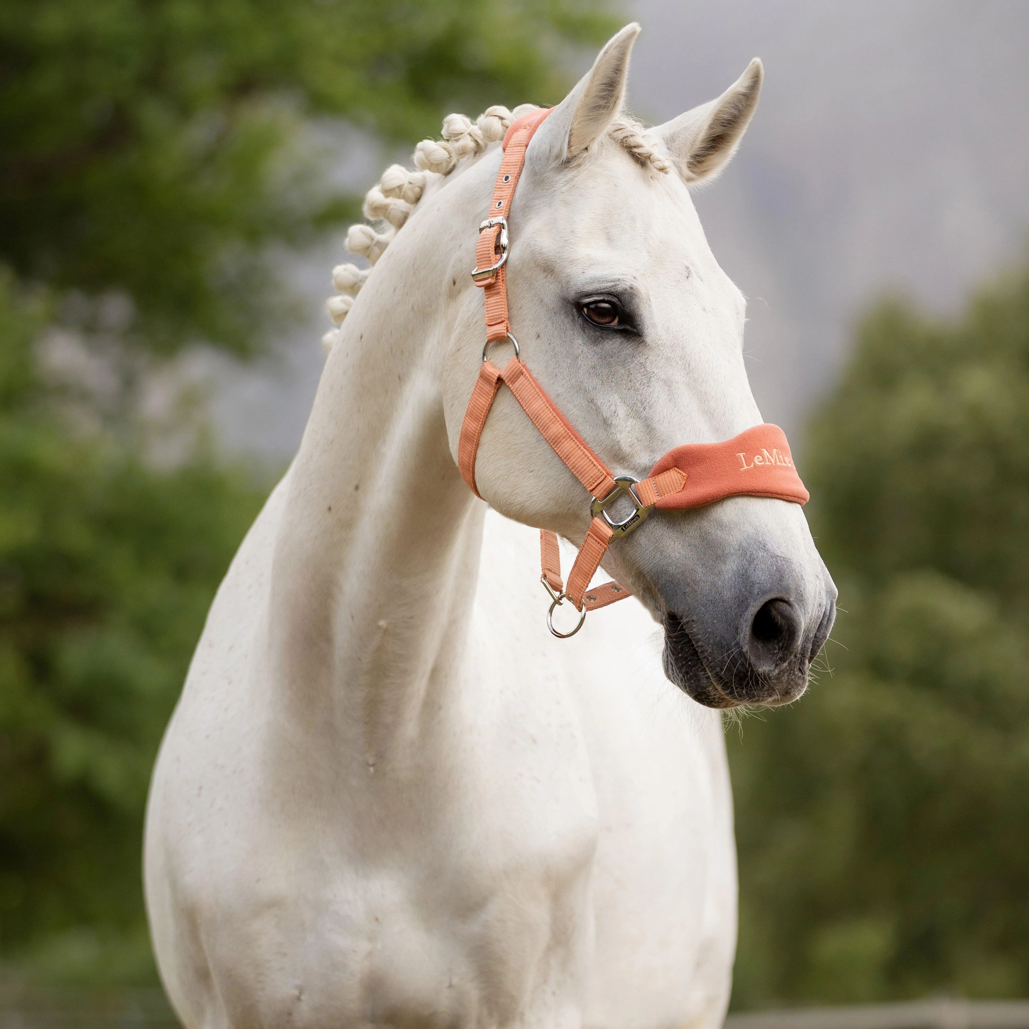 Vogue Headcollar & Leadrope Apricot - Image 2