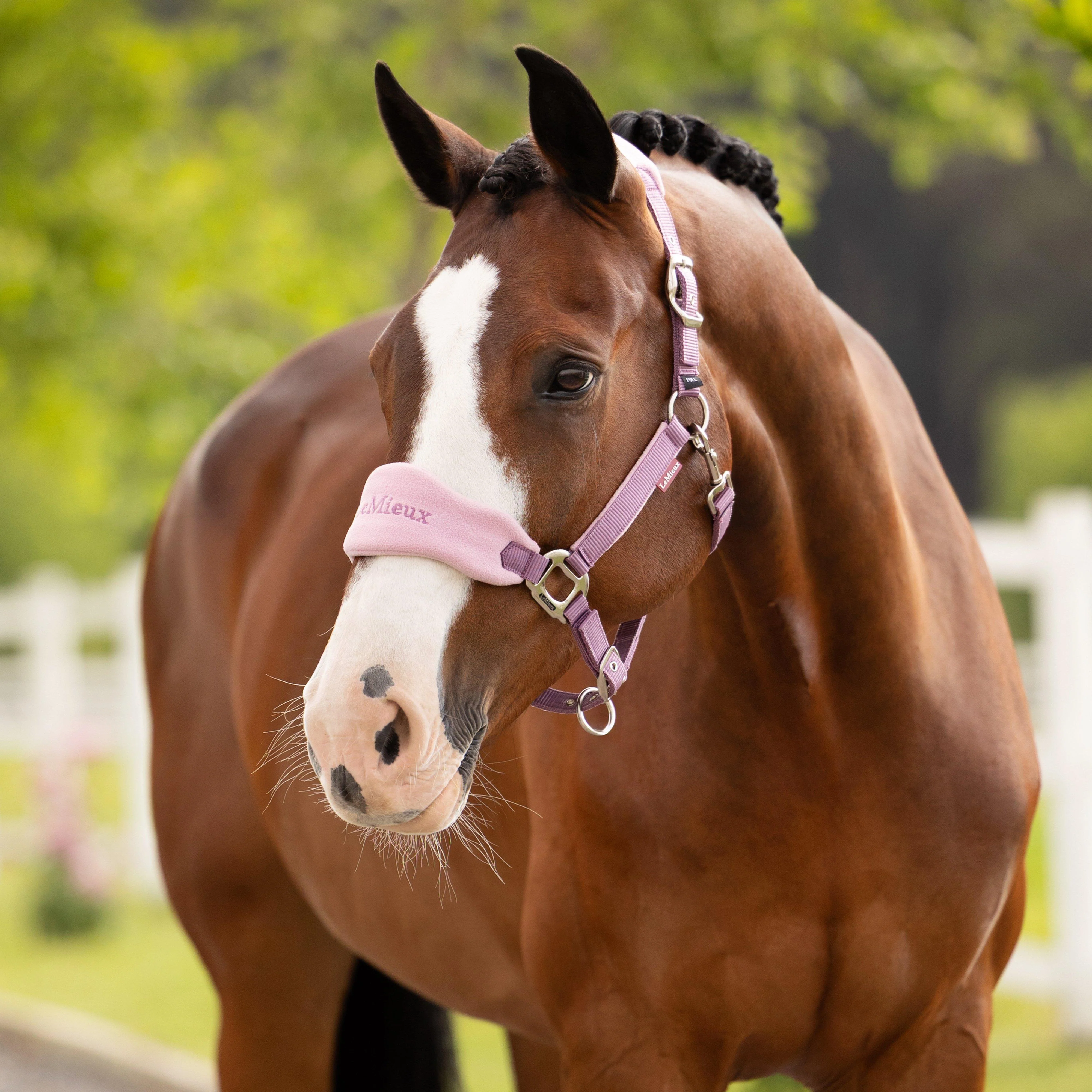 Vogue Headcollar & Leadrope Mallow - Image 2
