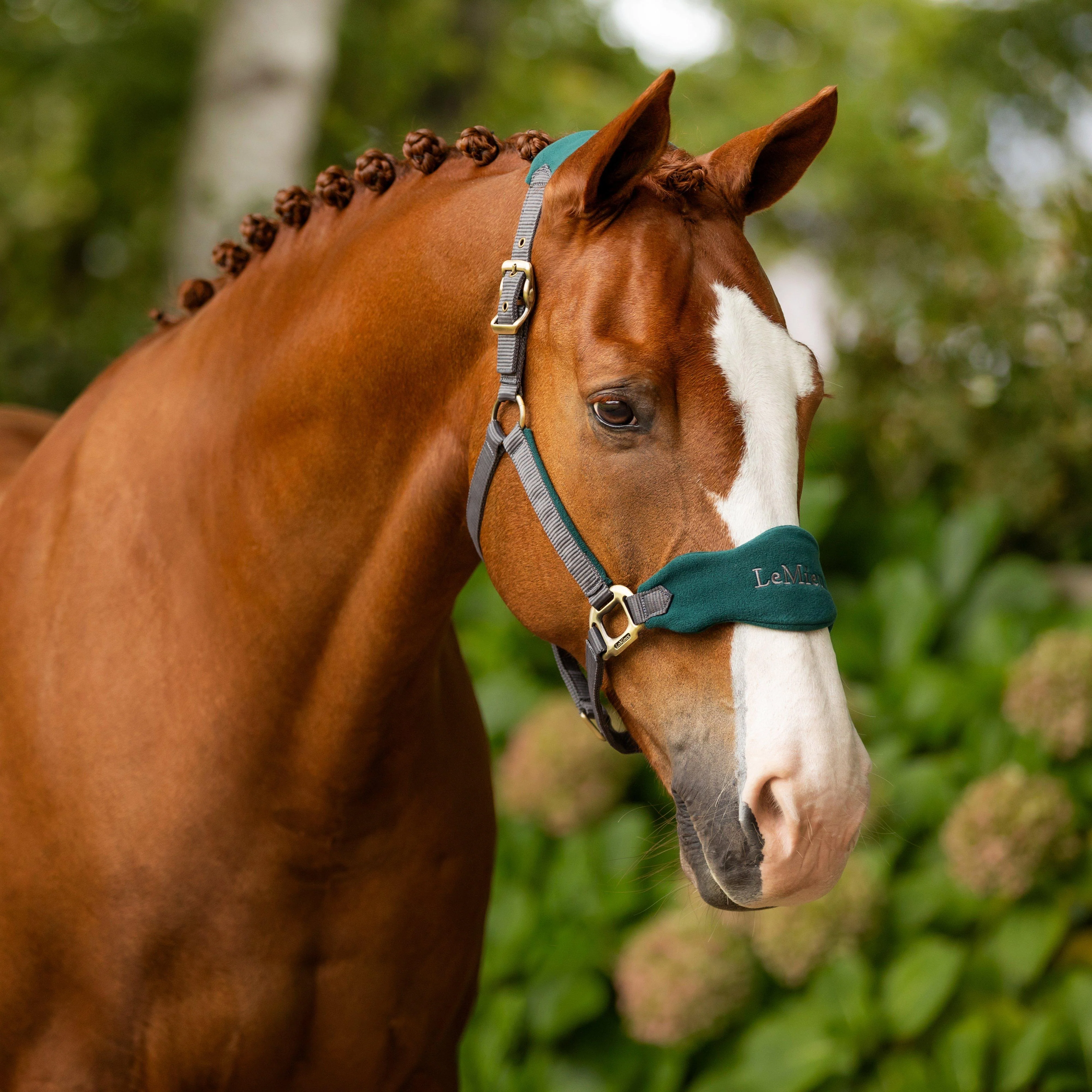Vogue Headcollar Spruce - Image 2