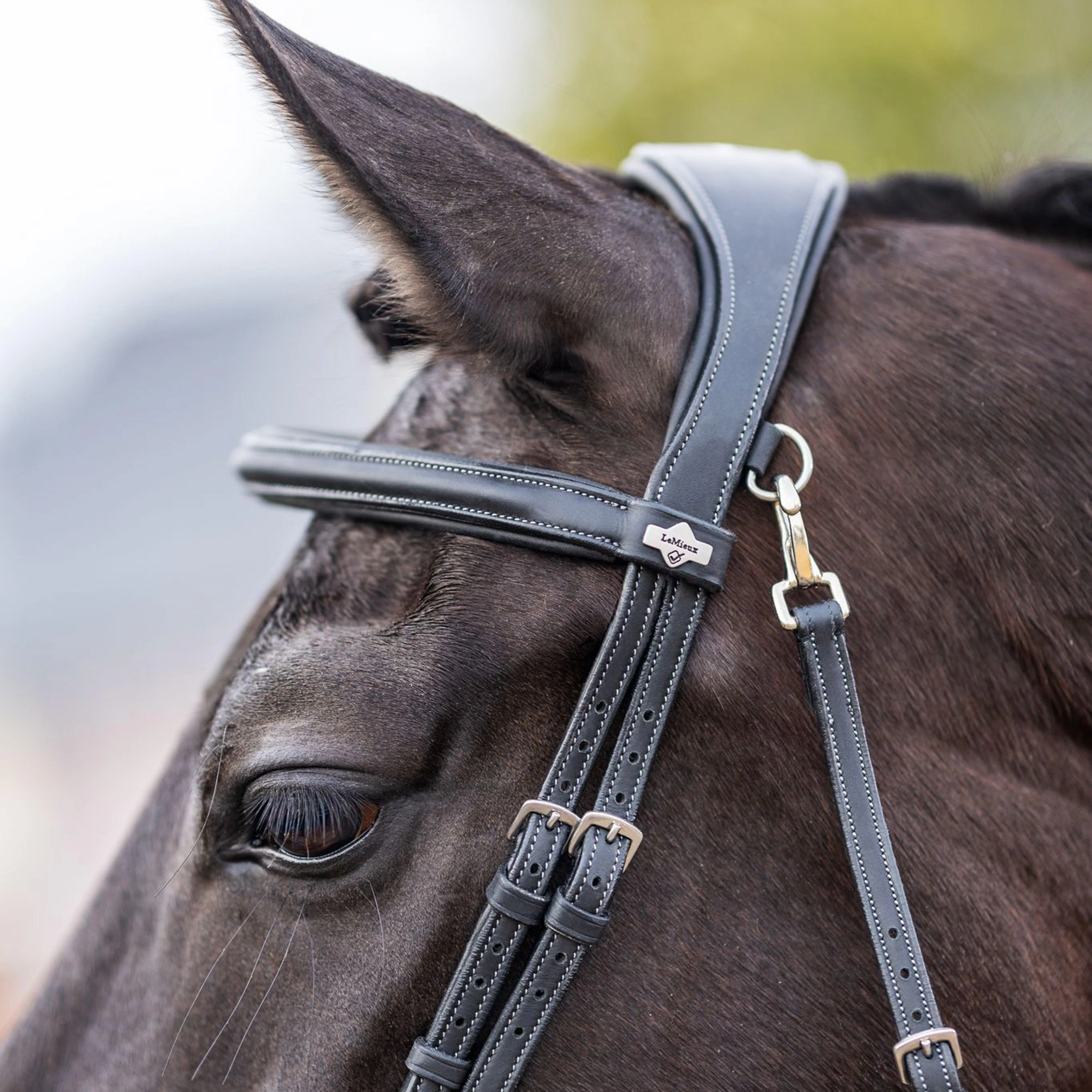 Work Bridle Black - Image 3