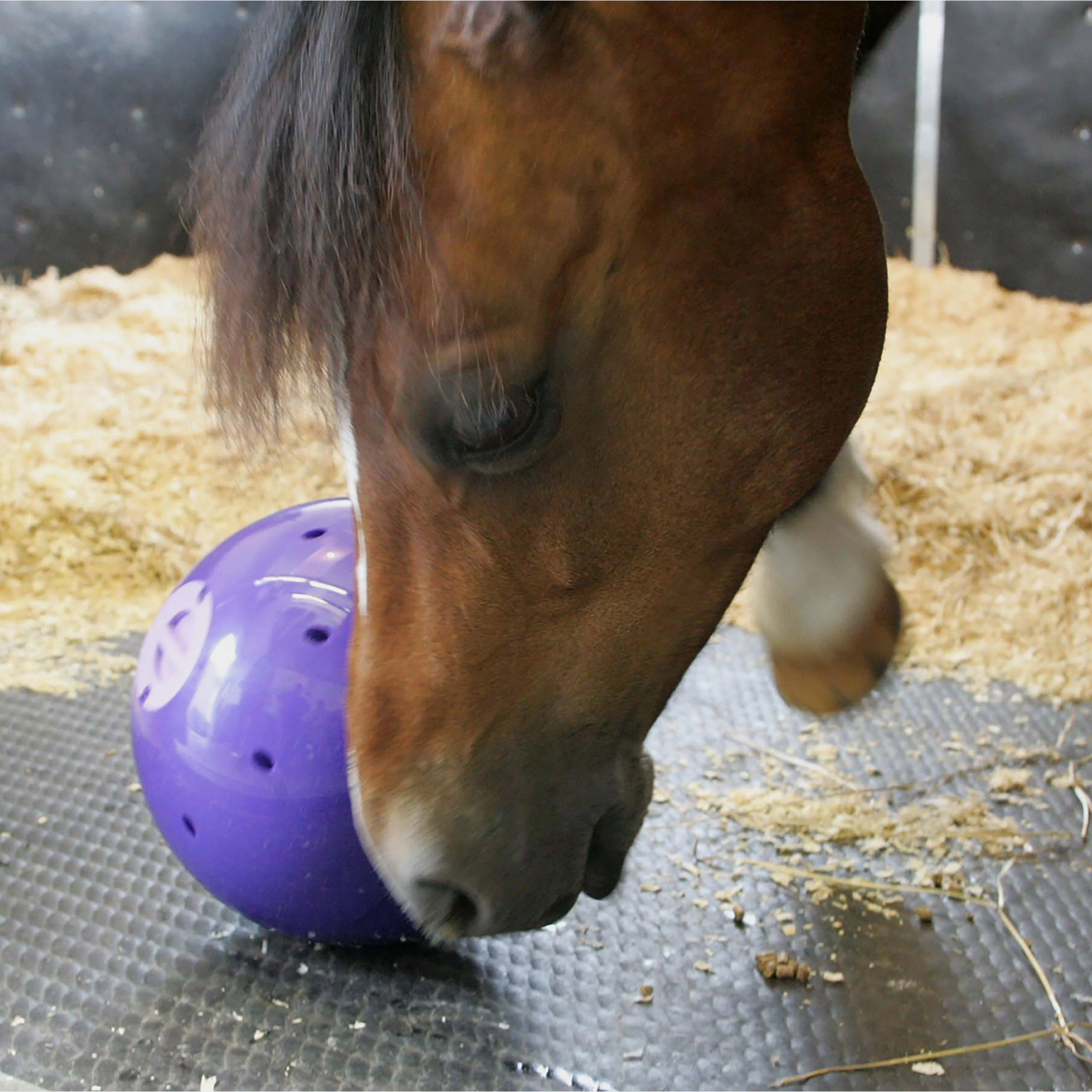 Snak-A-Ball Purple - Image 4