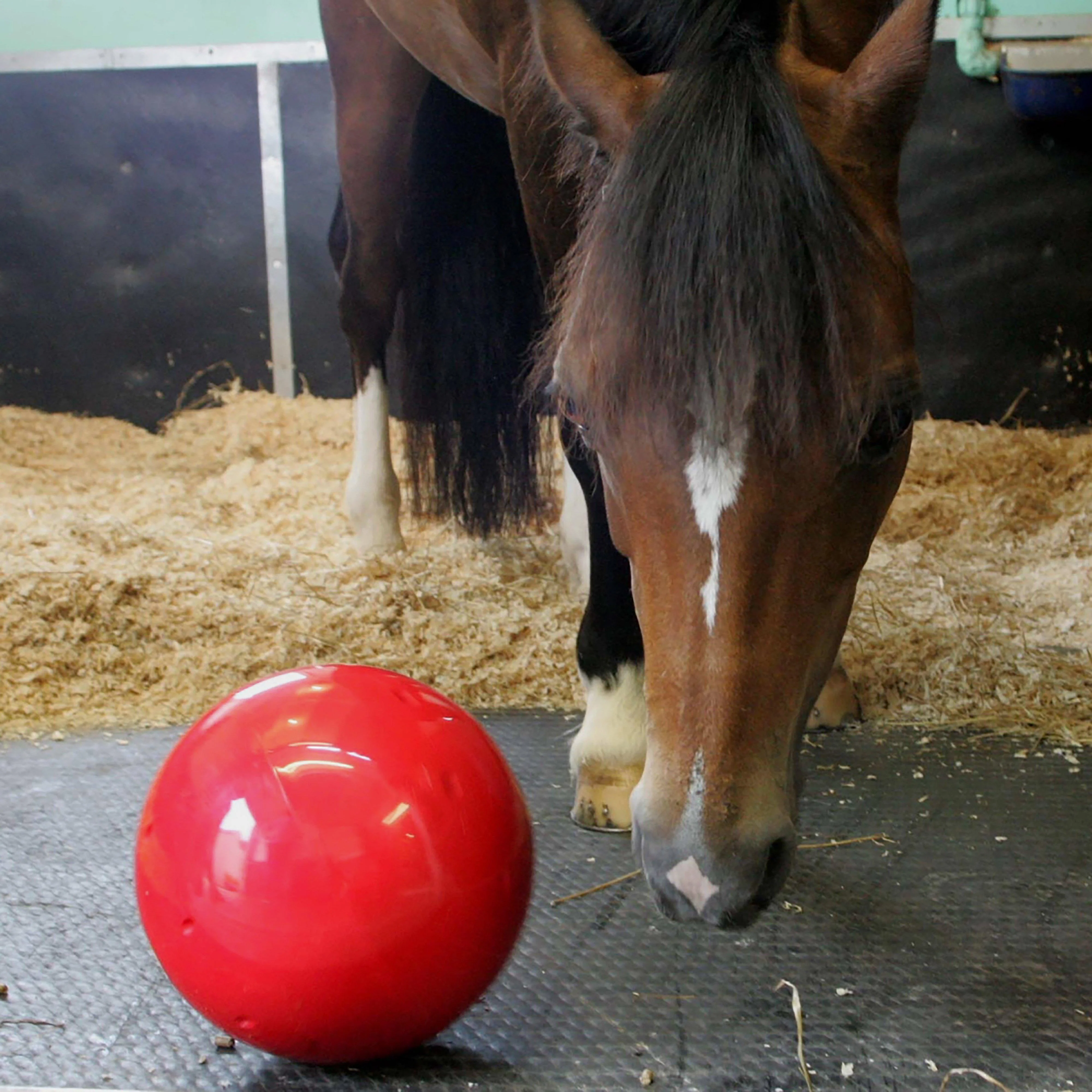 Snak-A-Ball Red - Image 3