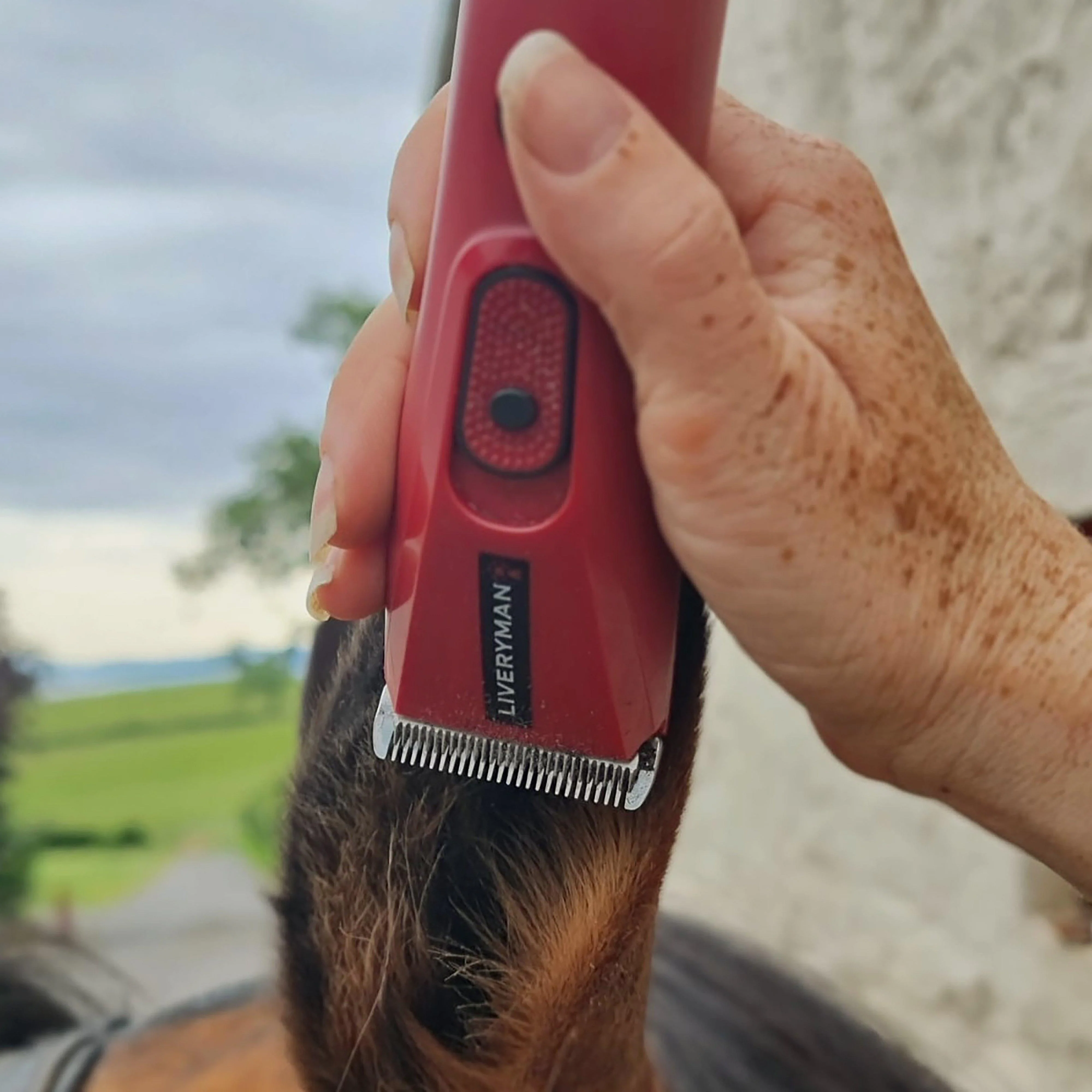 Nova Trimmer - Image 7