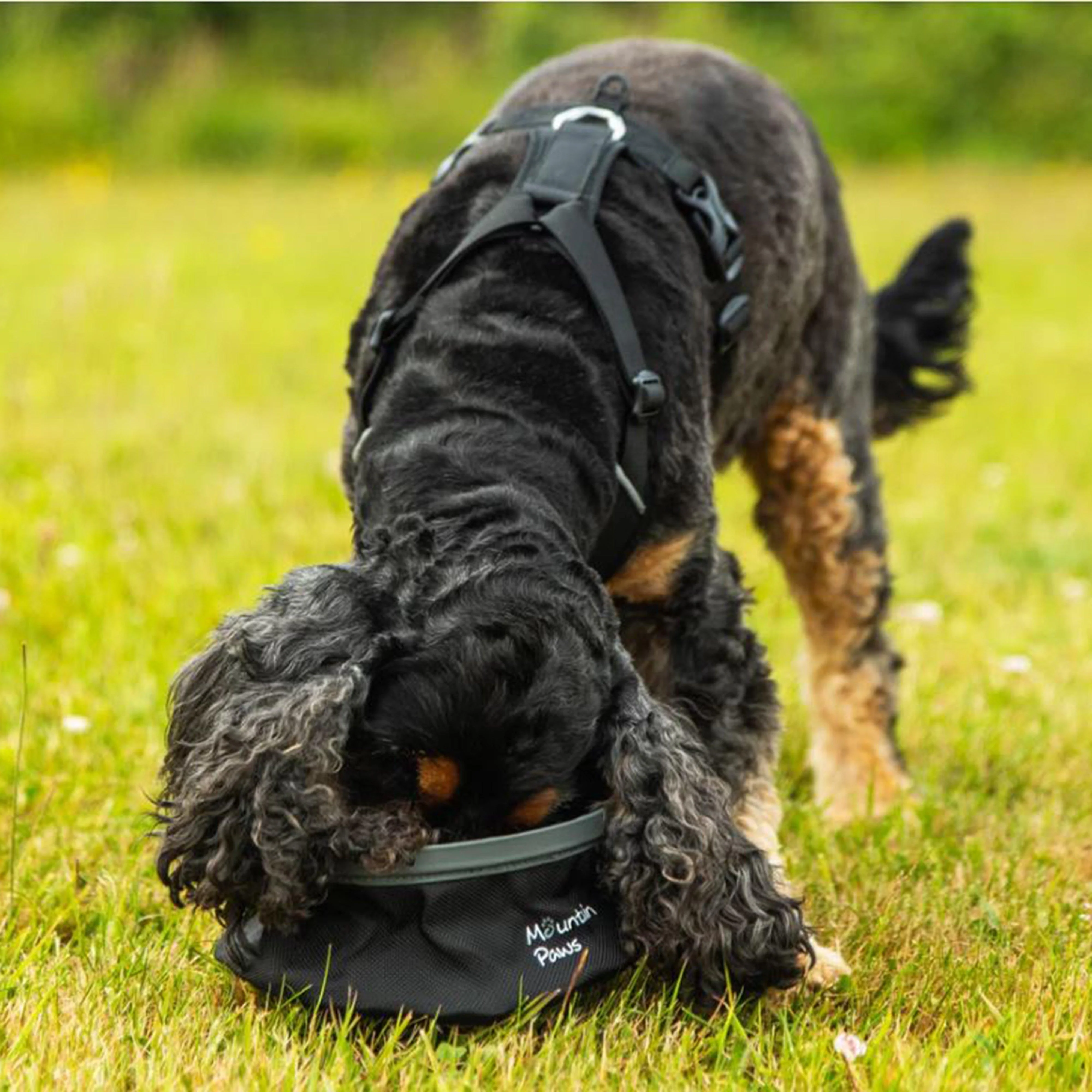 Dog Water Bowl Black - Image 2