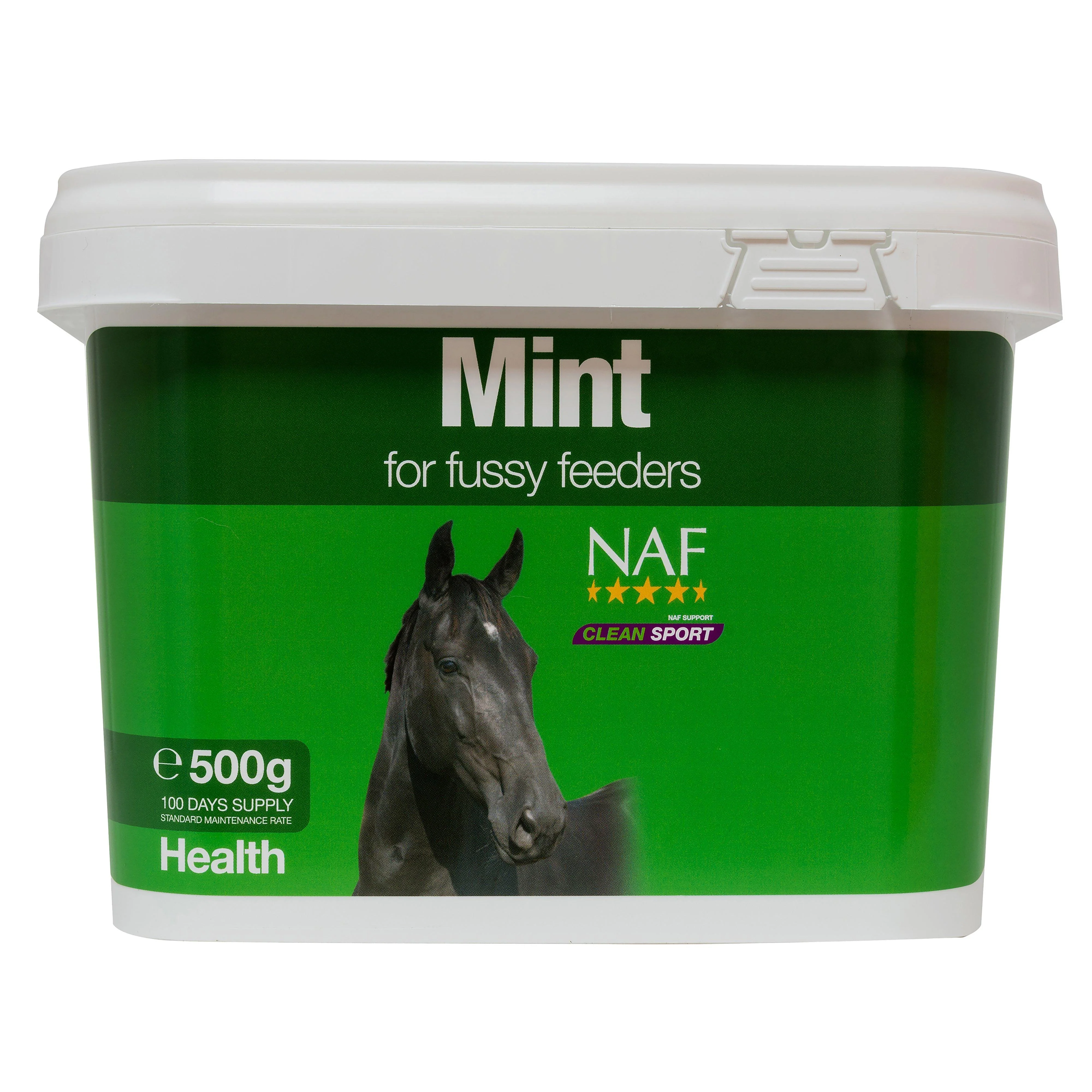 Mint Supplement 500g - Image 2
