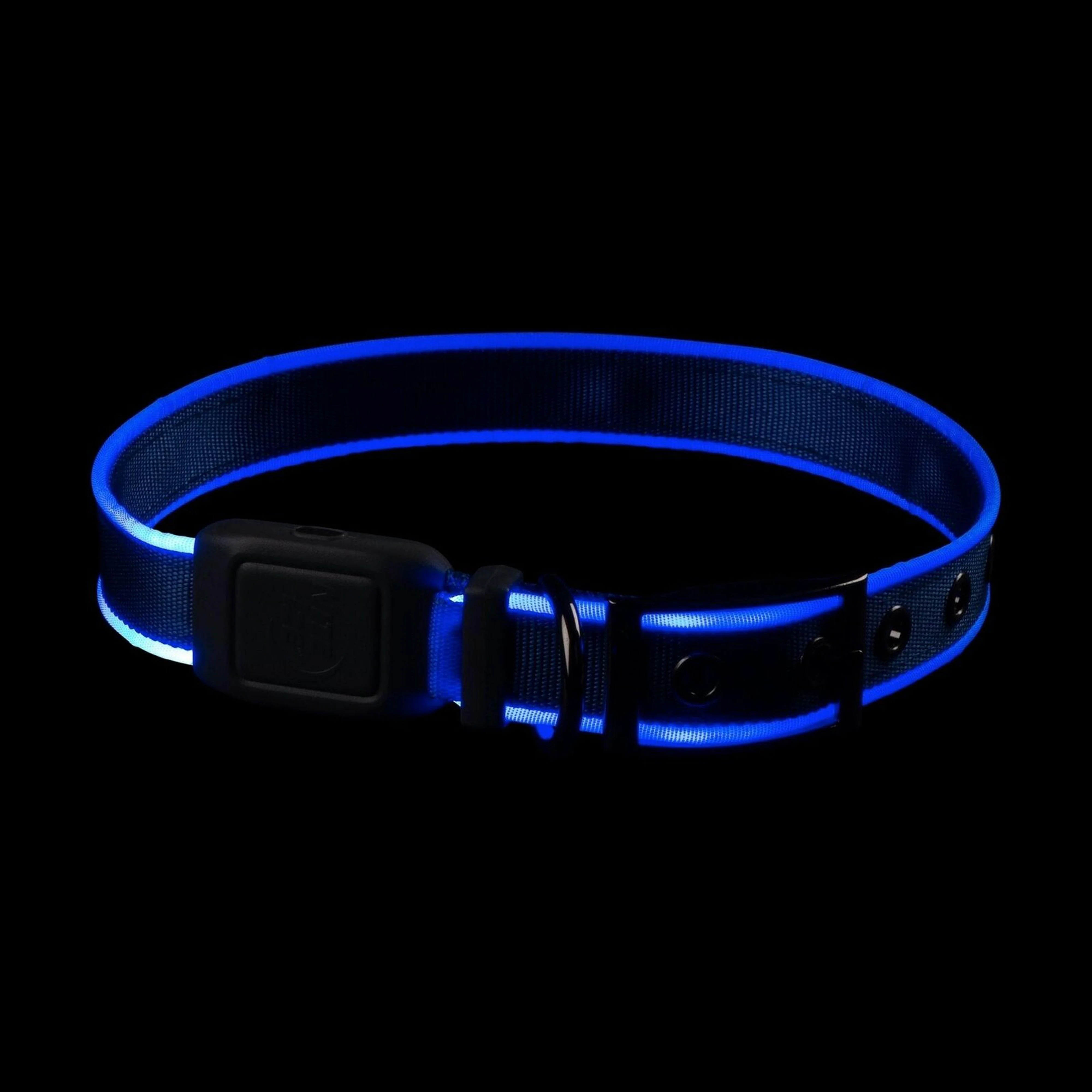 Nitedog® LED Rechargeable Collar Blue Large - Image 6