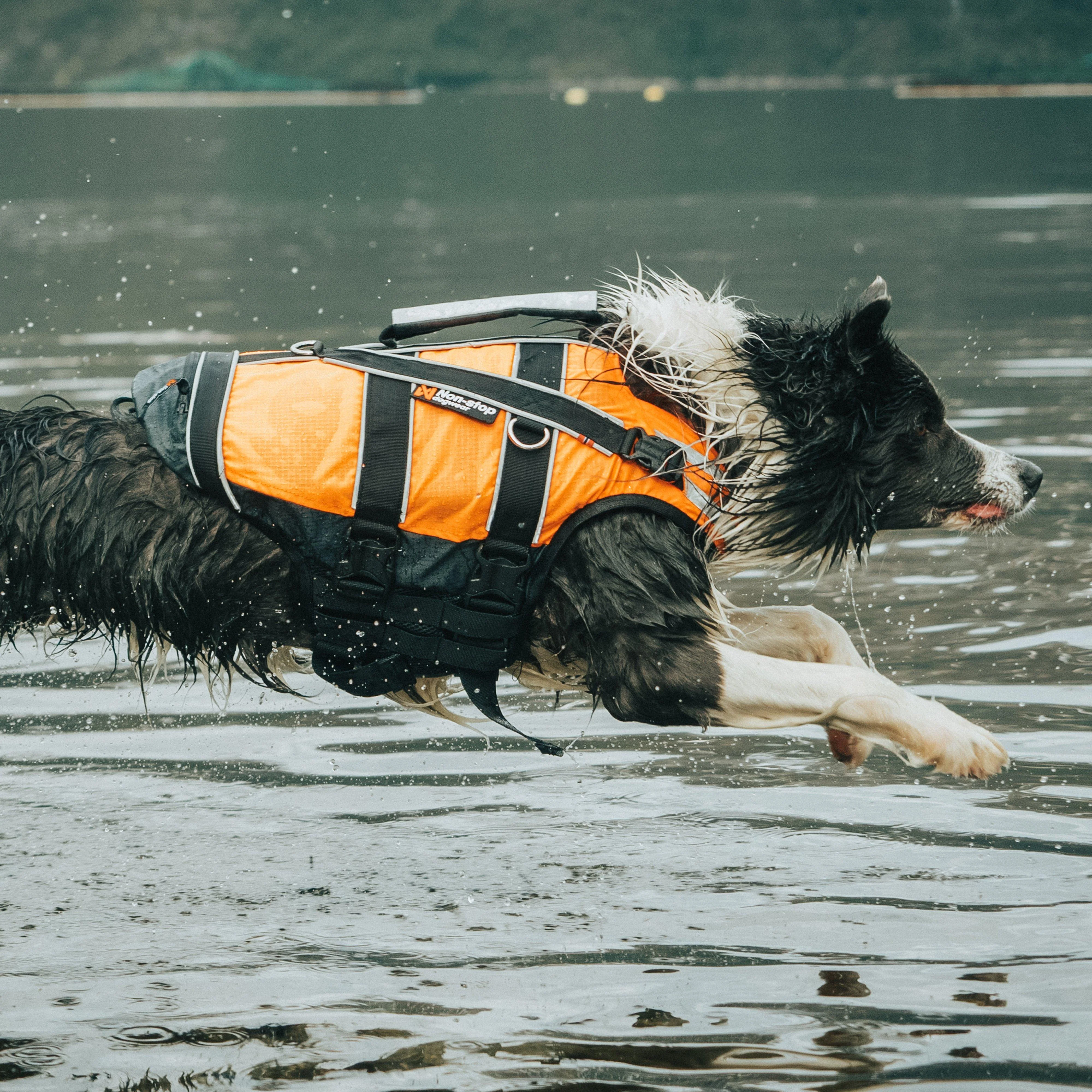 Safe Life Jacket 2.0 Orange/Black Size 5/6 - Image 3