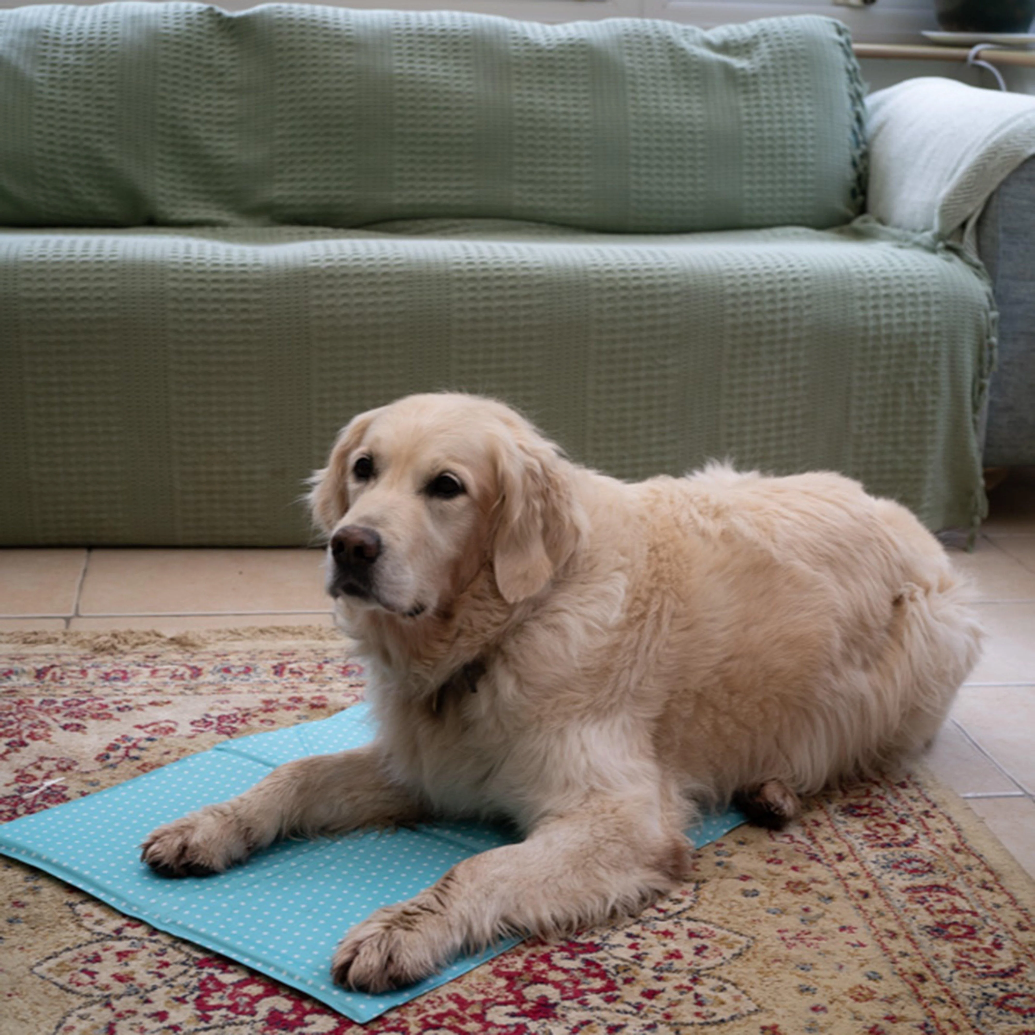 Cooling Pet Mat Blue - Image 4