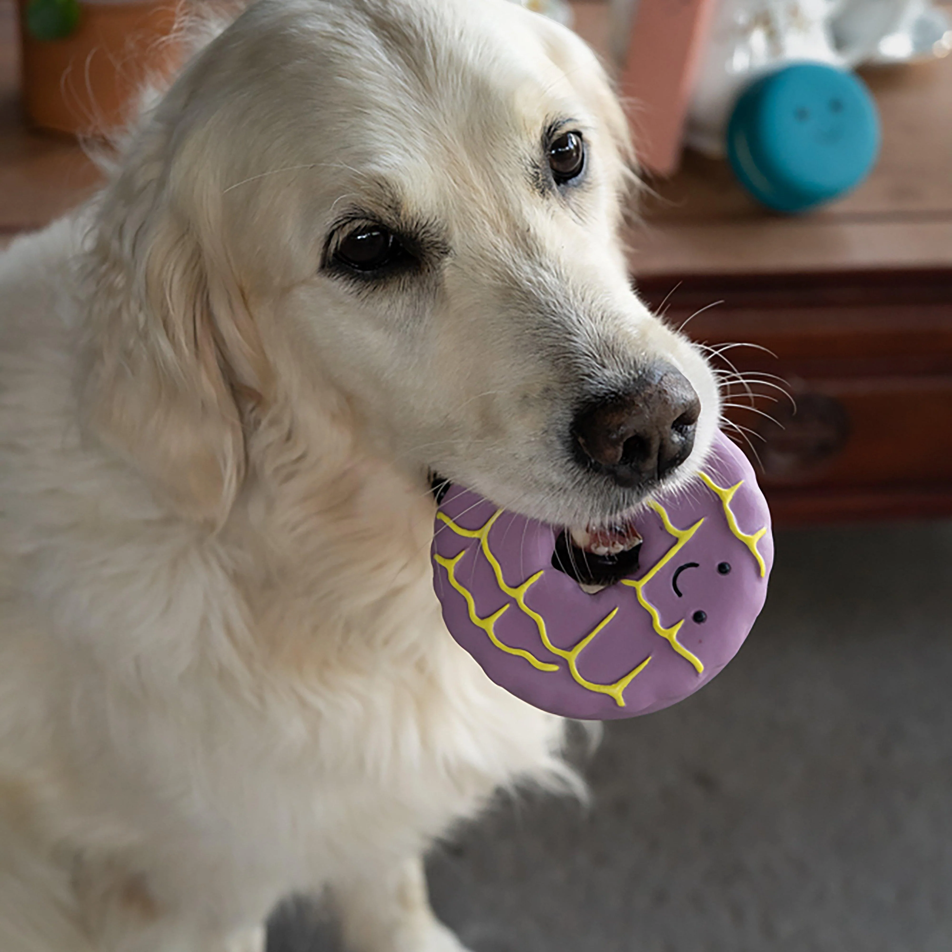 Iced Ring Biscuit Latex Dog Toy - Image 3