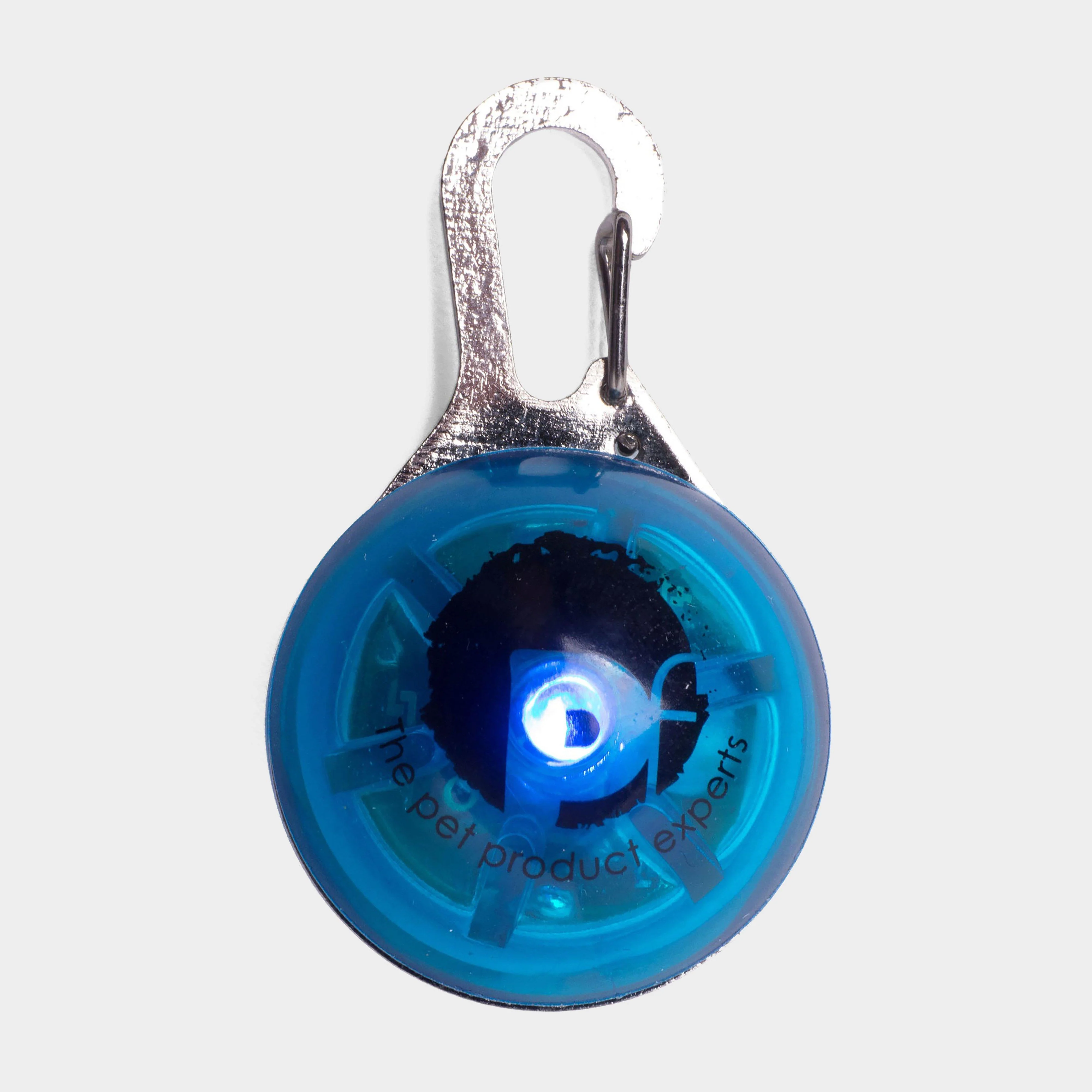 Outdoor Paws Flash Tag Blue