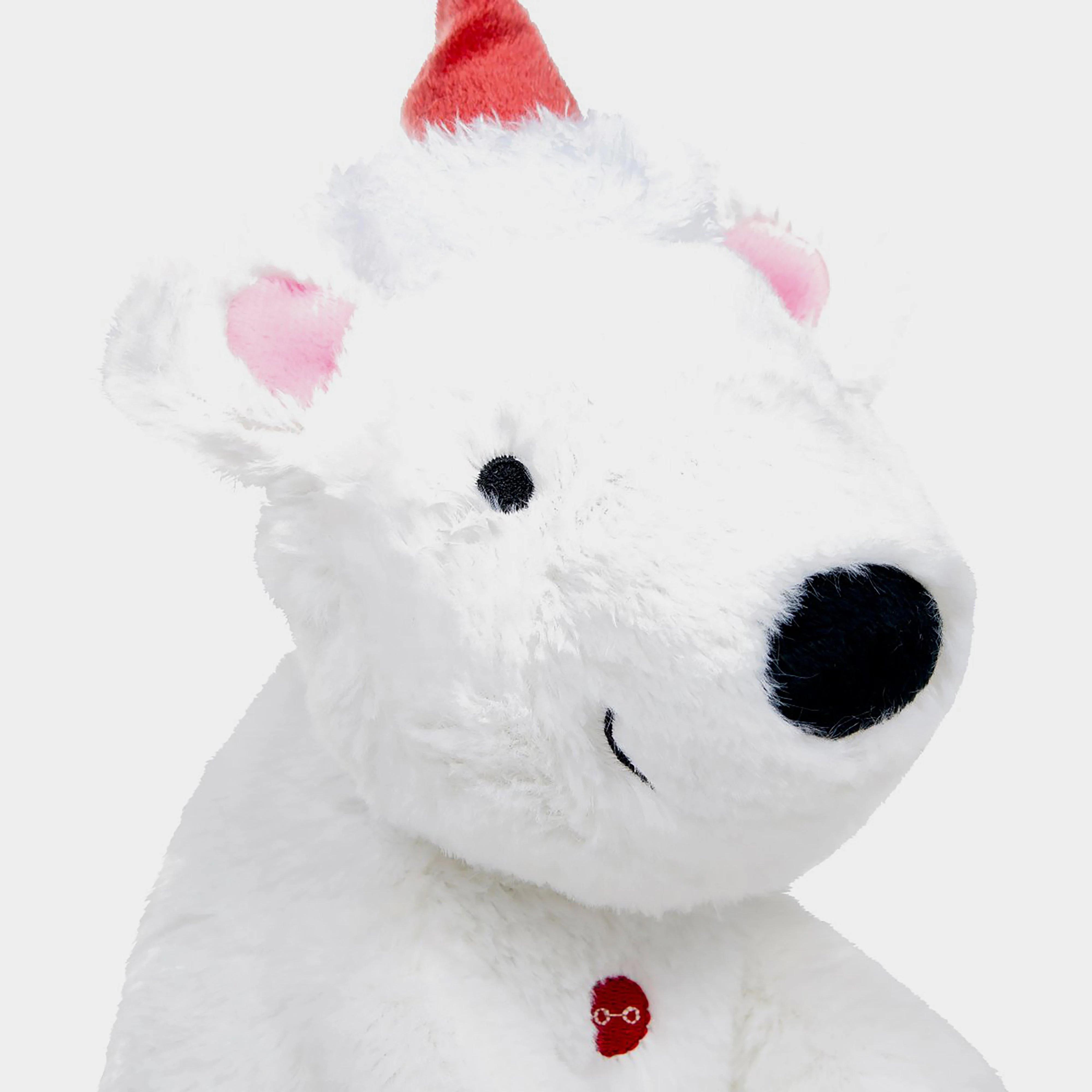 Polar Bear - Image 4