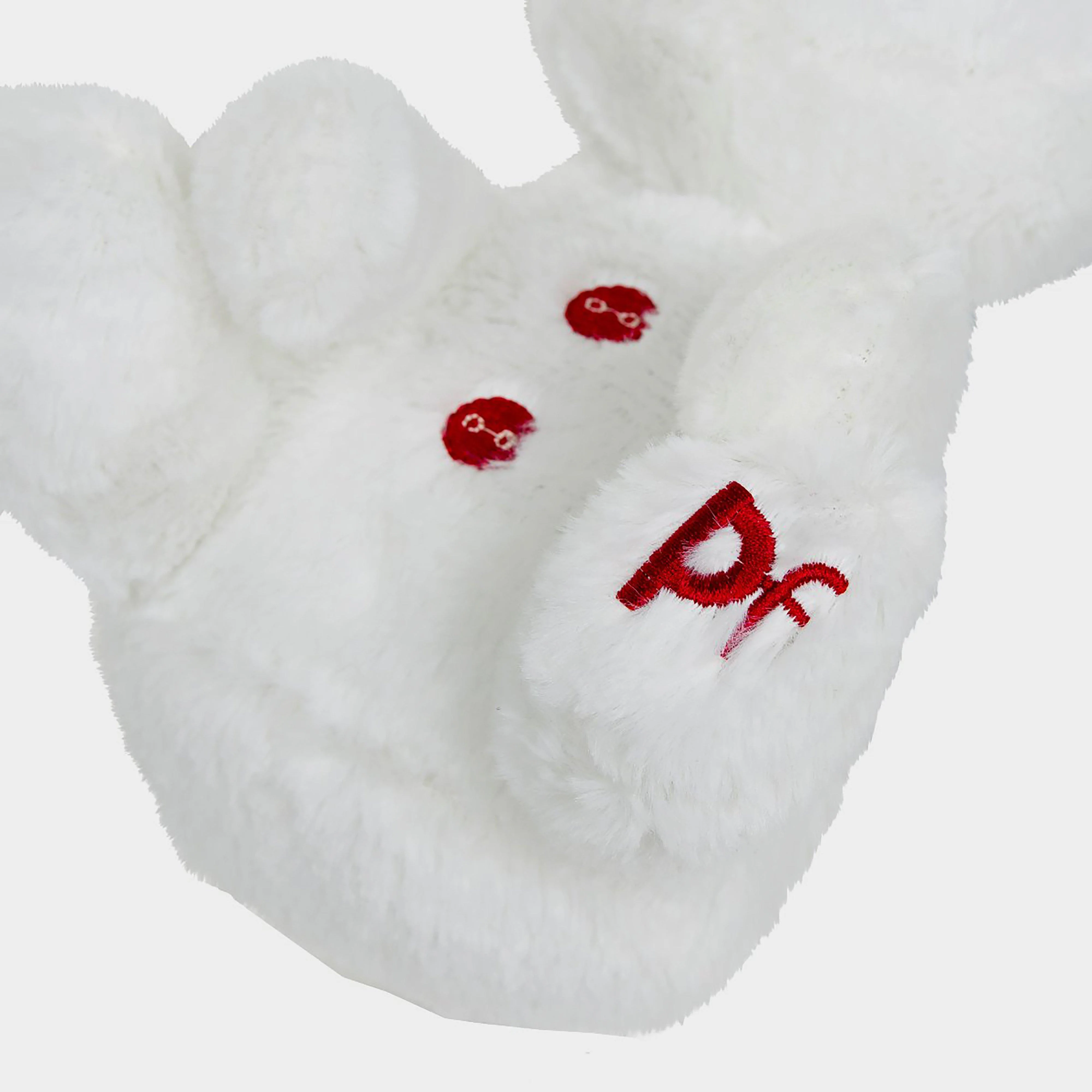 Polar Bear - Image 5