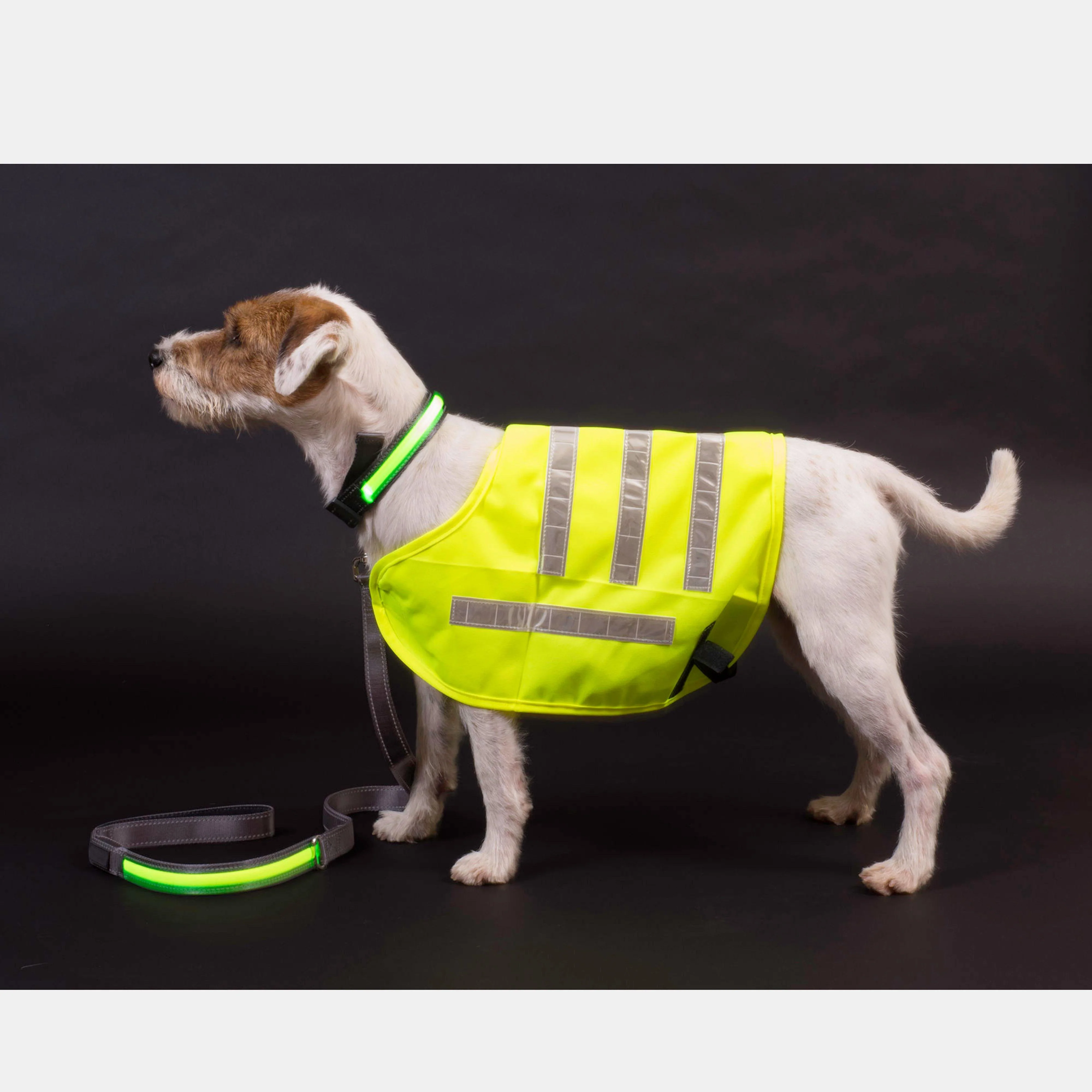 Reflective Flashing Dog Collar Yellow L - Image 4