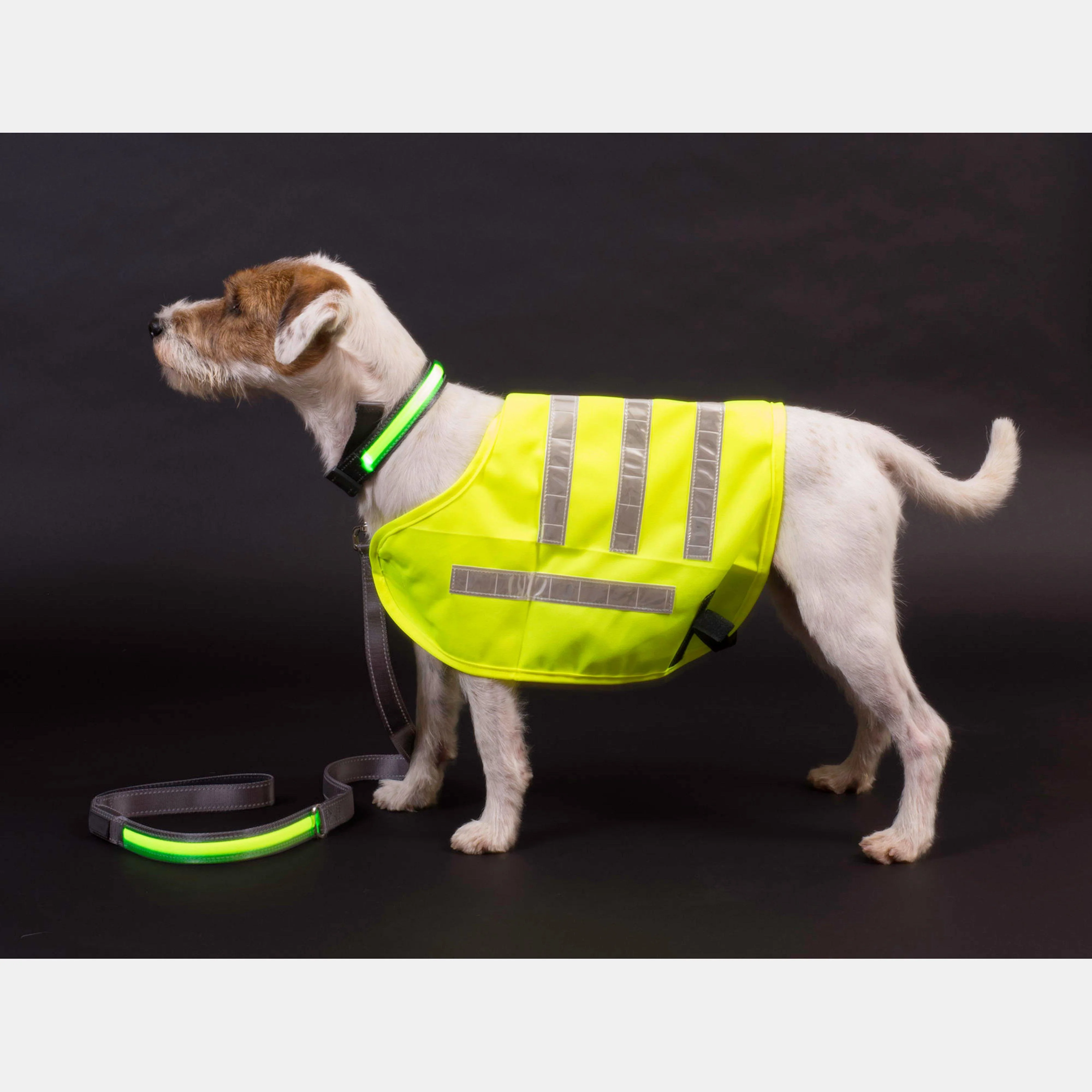Reflective Flashing Dog Collar Yellow M - Image 4