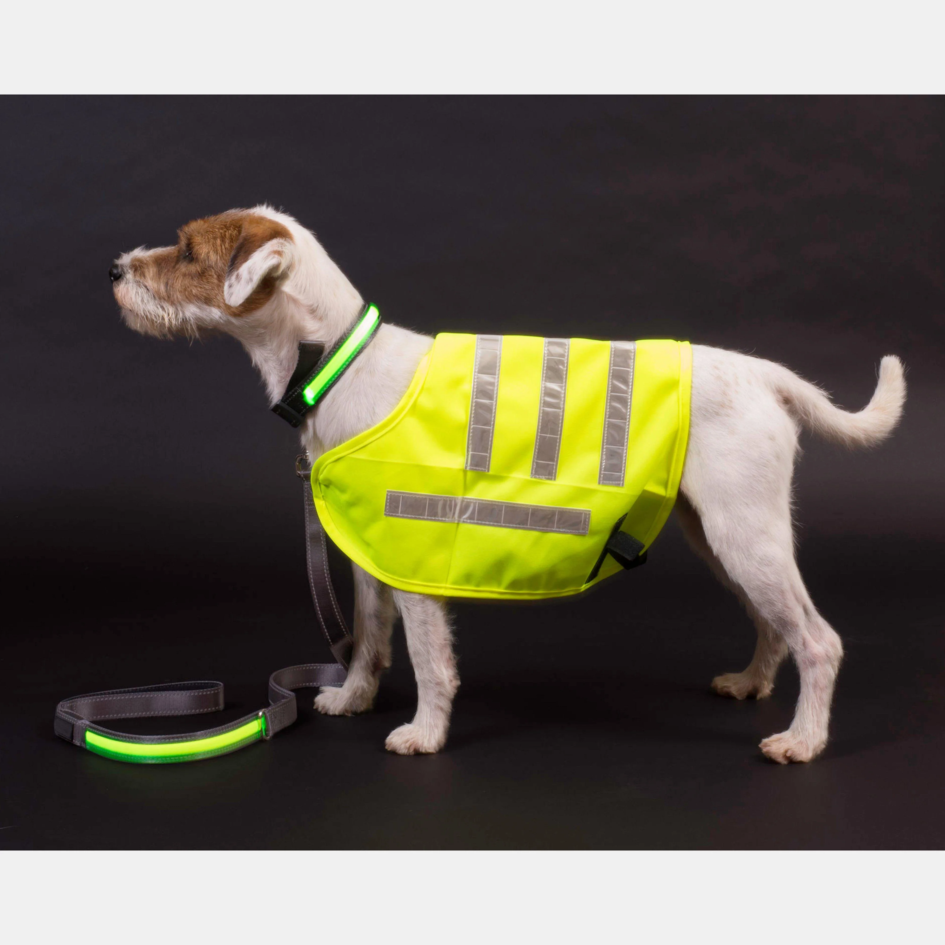 Reflective Flashing Dog Collar Yellow S - Image 4