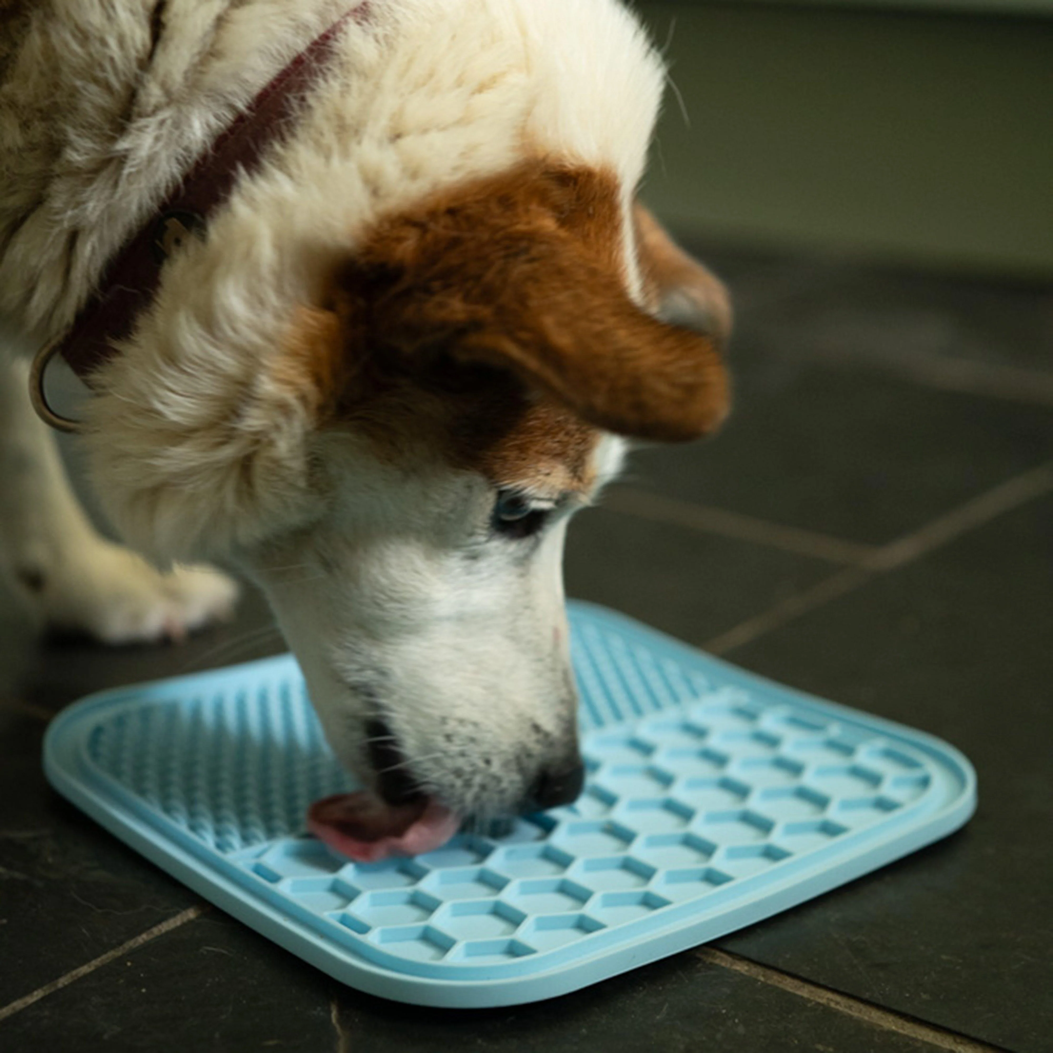 Silicone Pet Treat Mat 2 Pack - Image 5