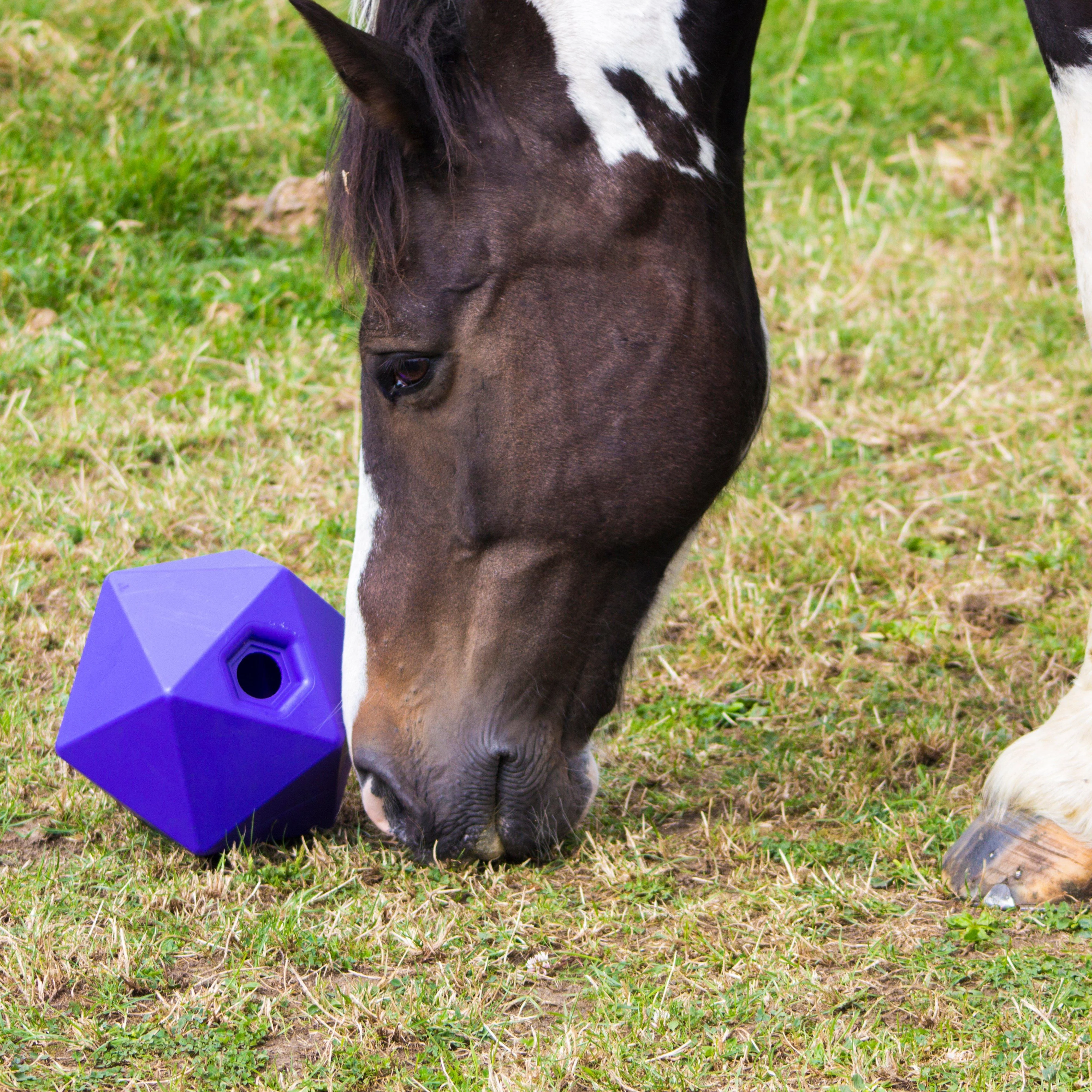 Drip Feed Treat Ball Purple - Image 3