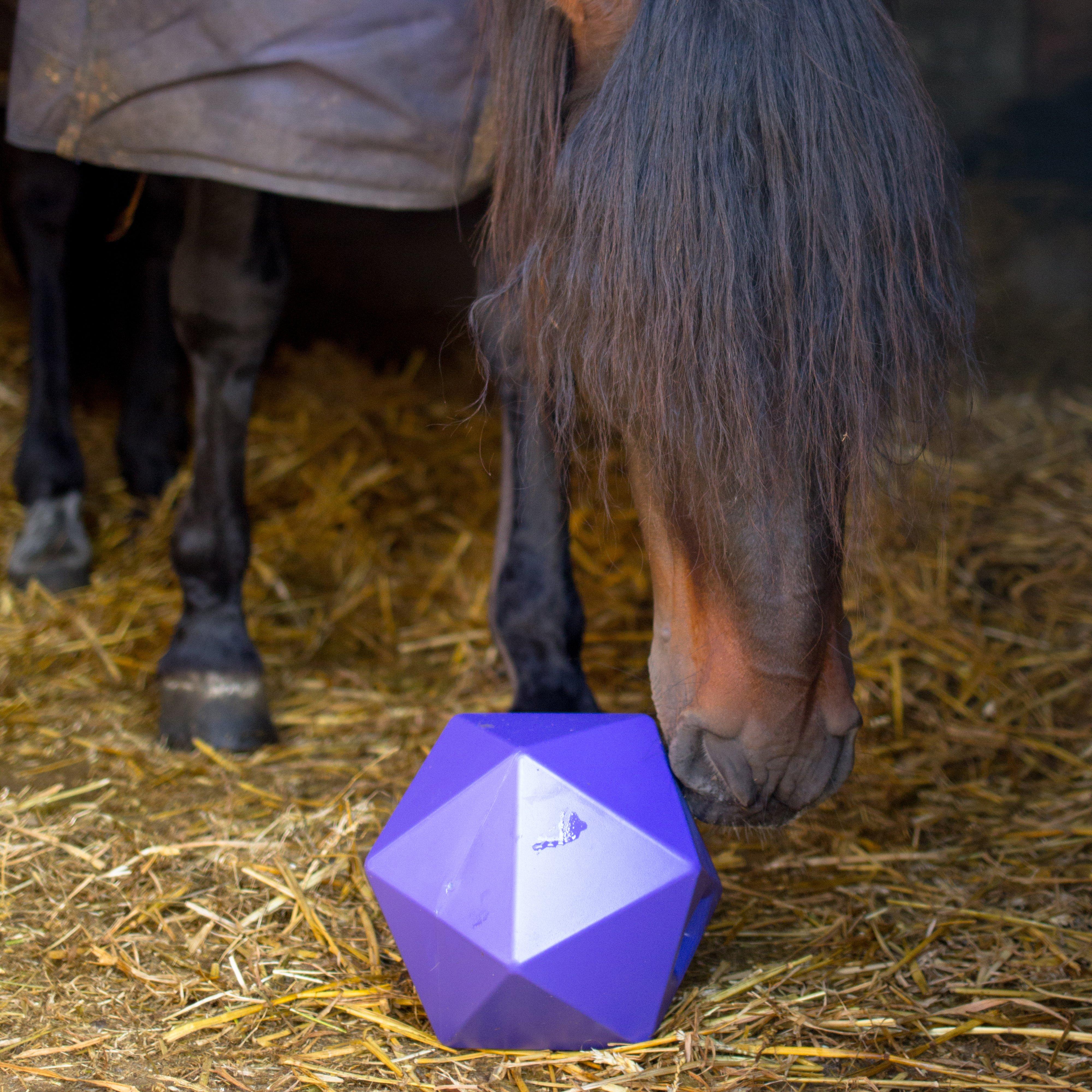 Drip Feed Treat Ball Purple - Image 5