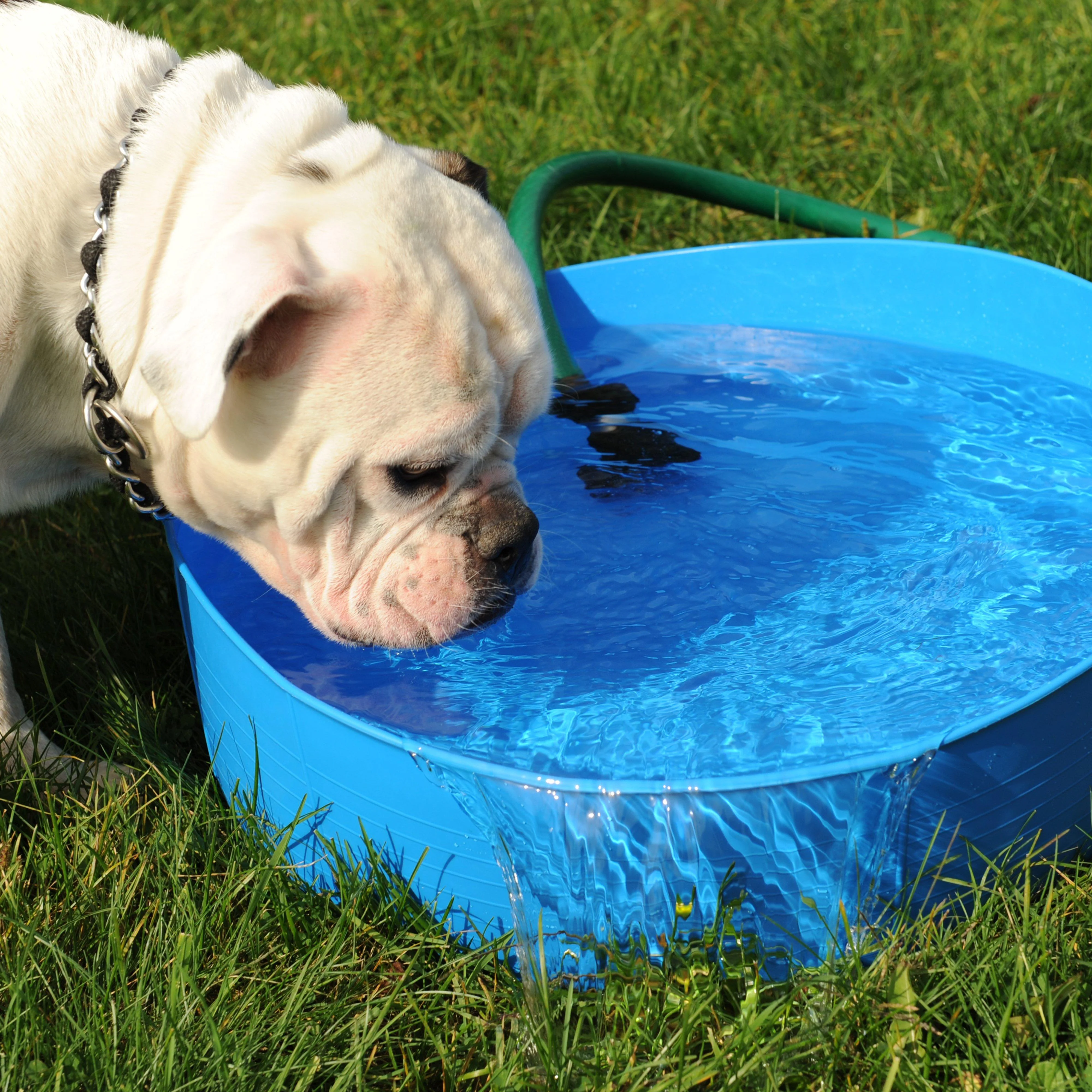 Flexible Shallow Bucket Blue - Image 3