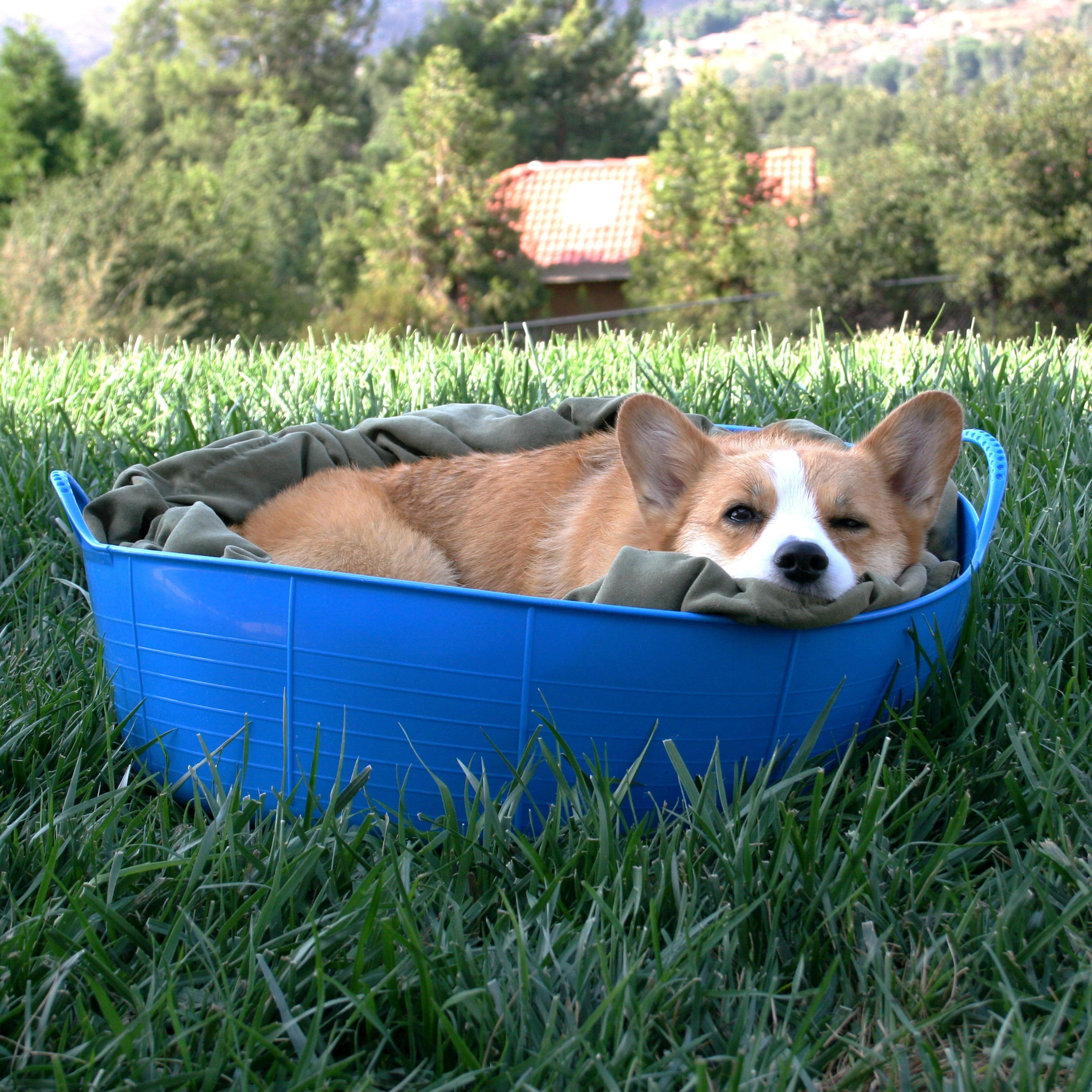 Flexible Shallow Bucket Blue - Image 6
