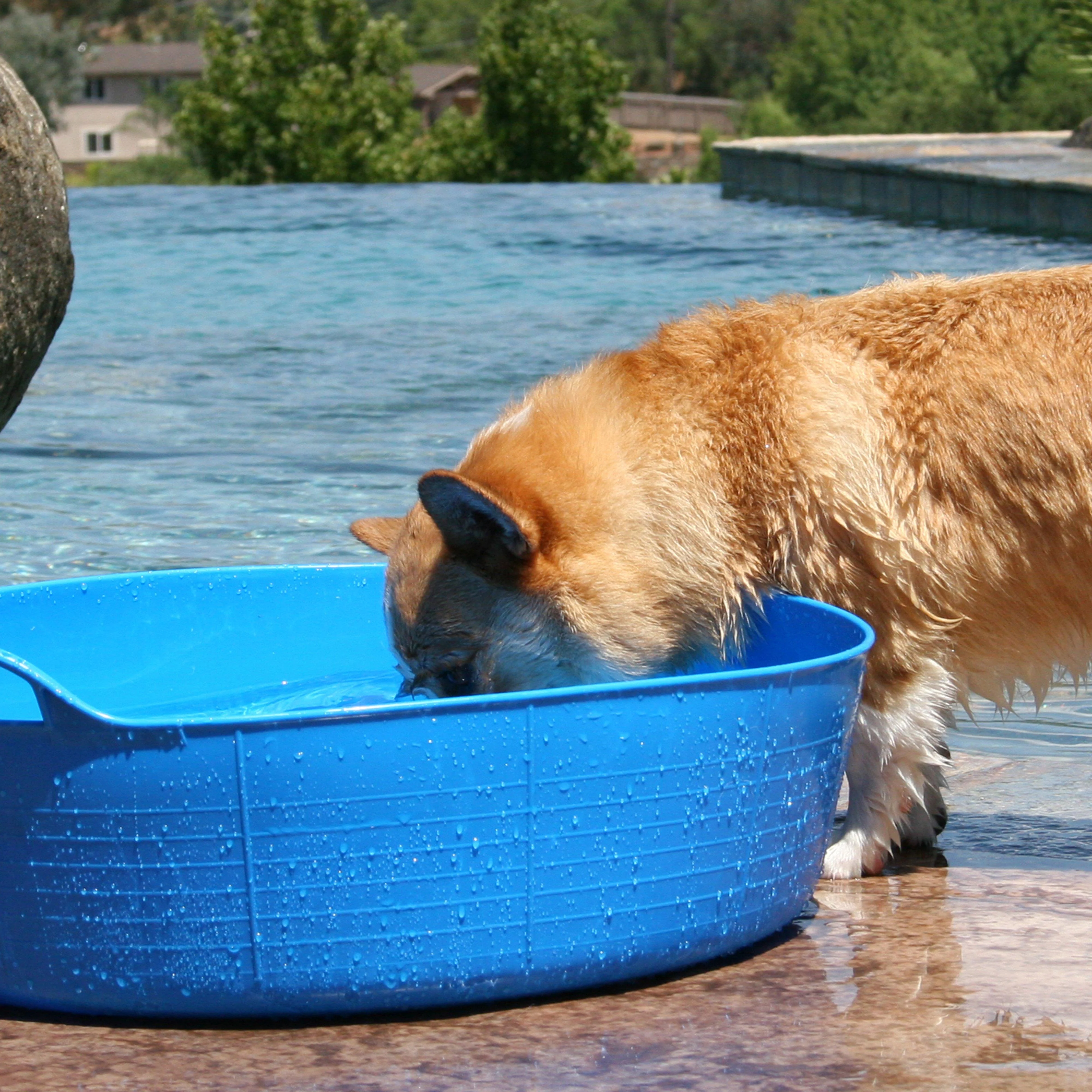 Flexible Shallow Bucket Blue - Image 7