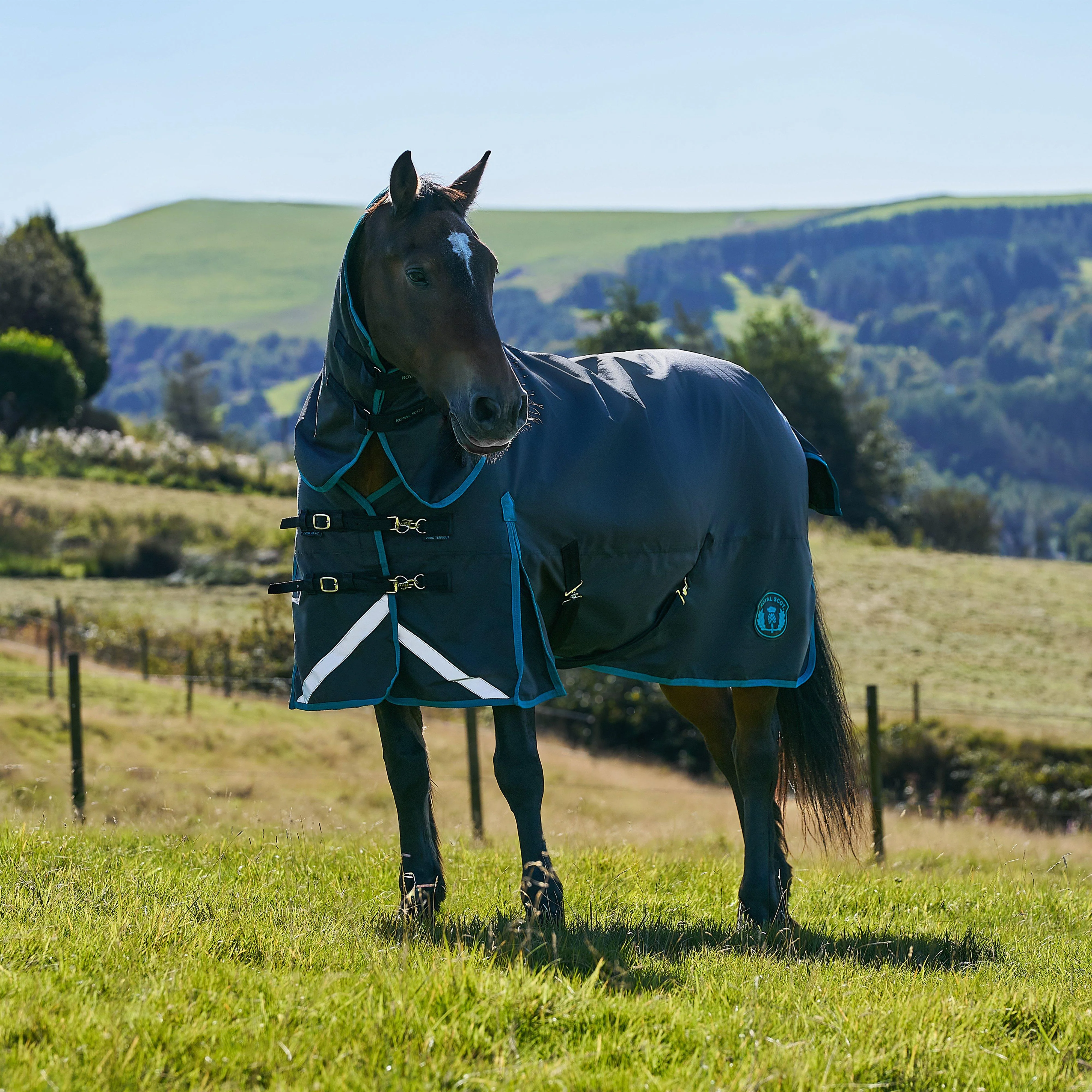 Original 200g Mediumweight Combo Neck Turnout Rug Black/Ocean