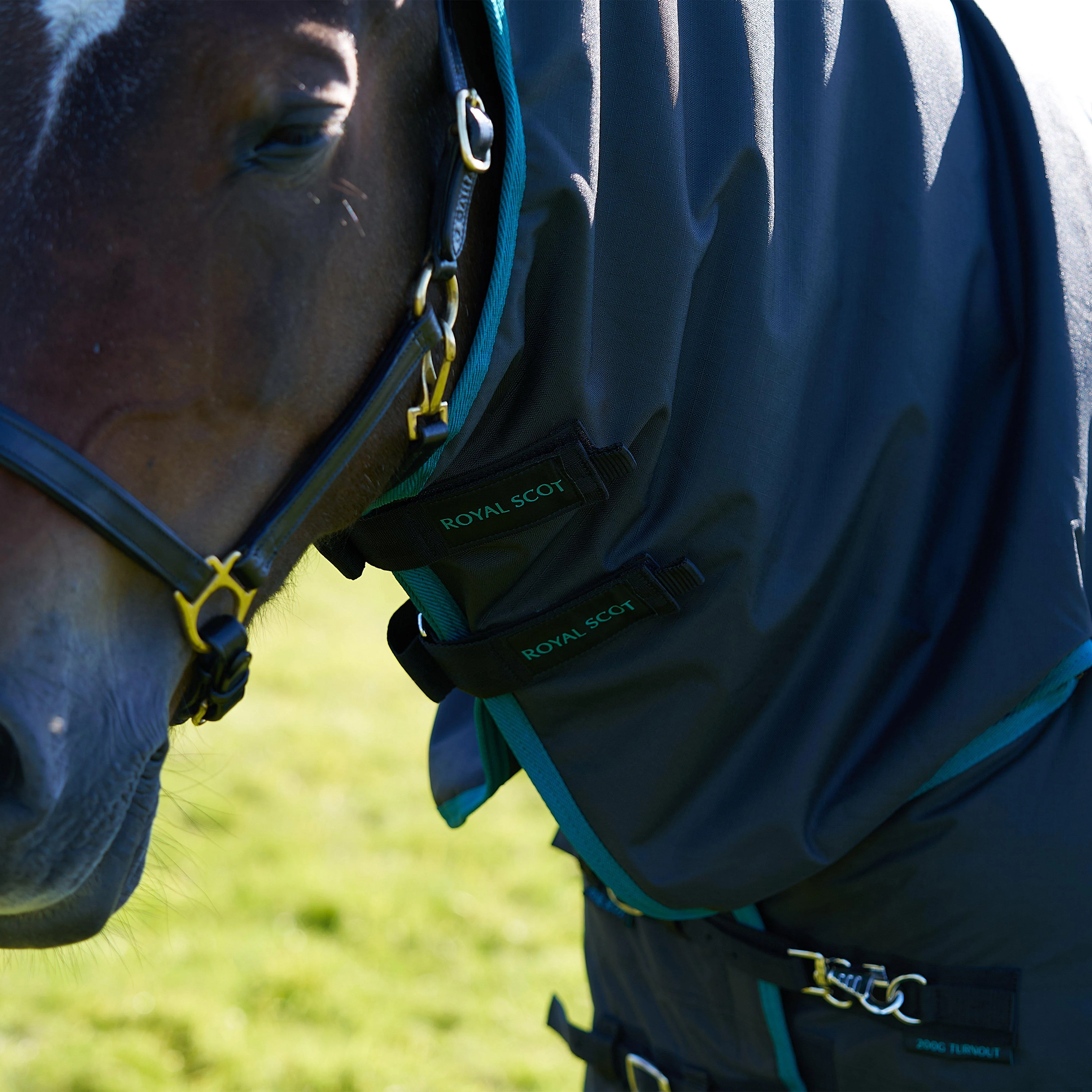 Original 200g Mediumweight Combo Neck Turnout Rug Black/Ocean - Image 6