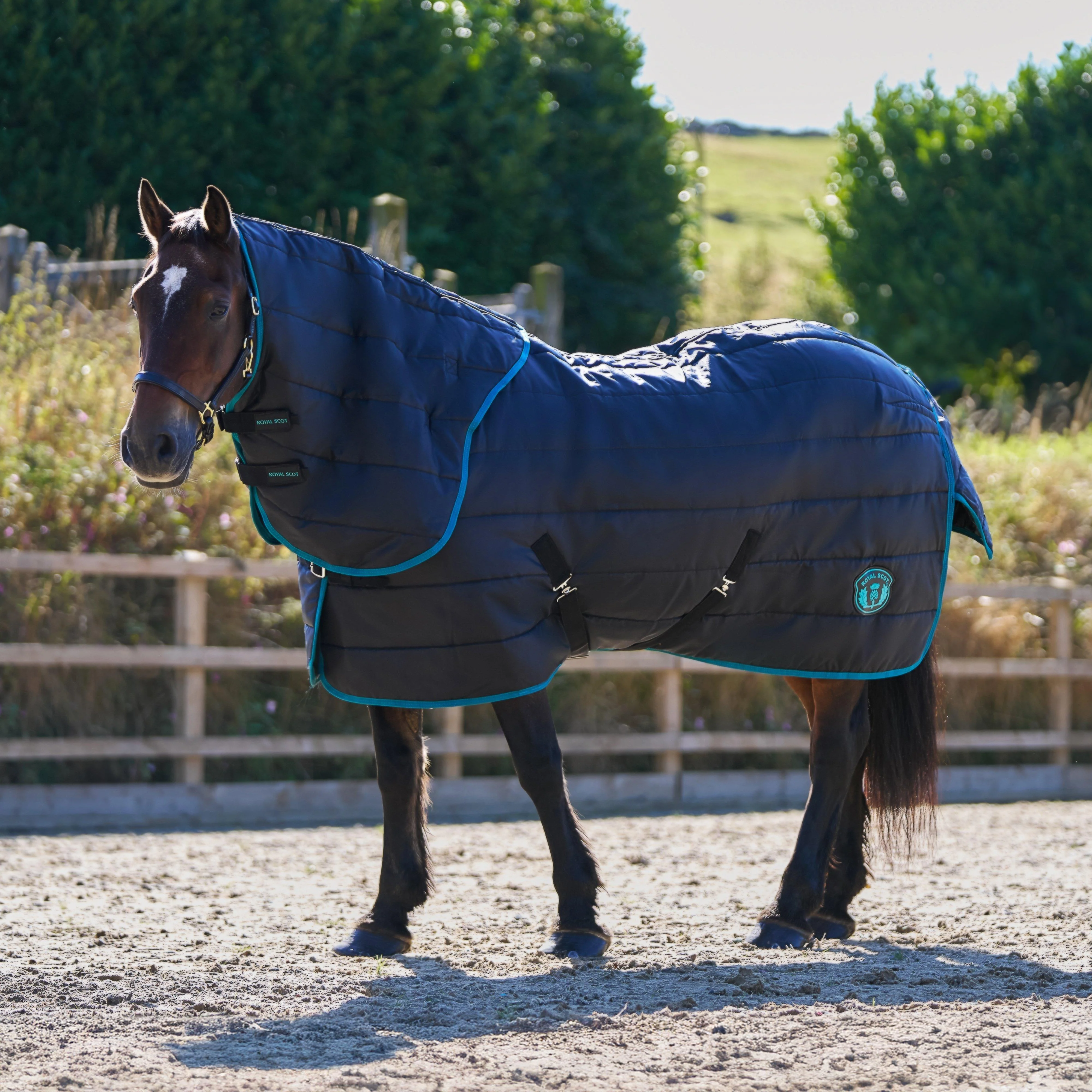 Original 250g Mediumweight Detach-A-Neck Stable Rug Black/Ocean - Image 8