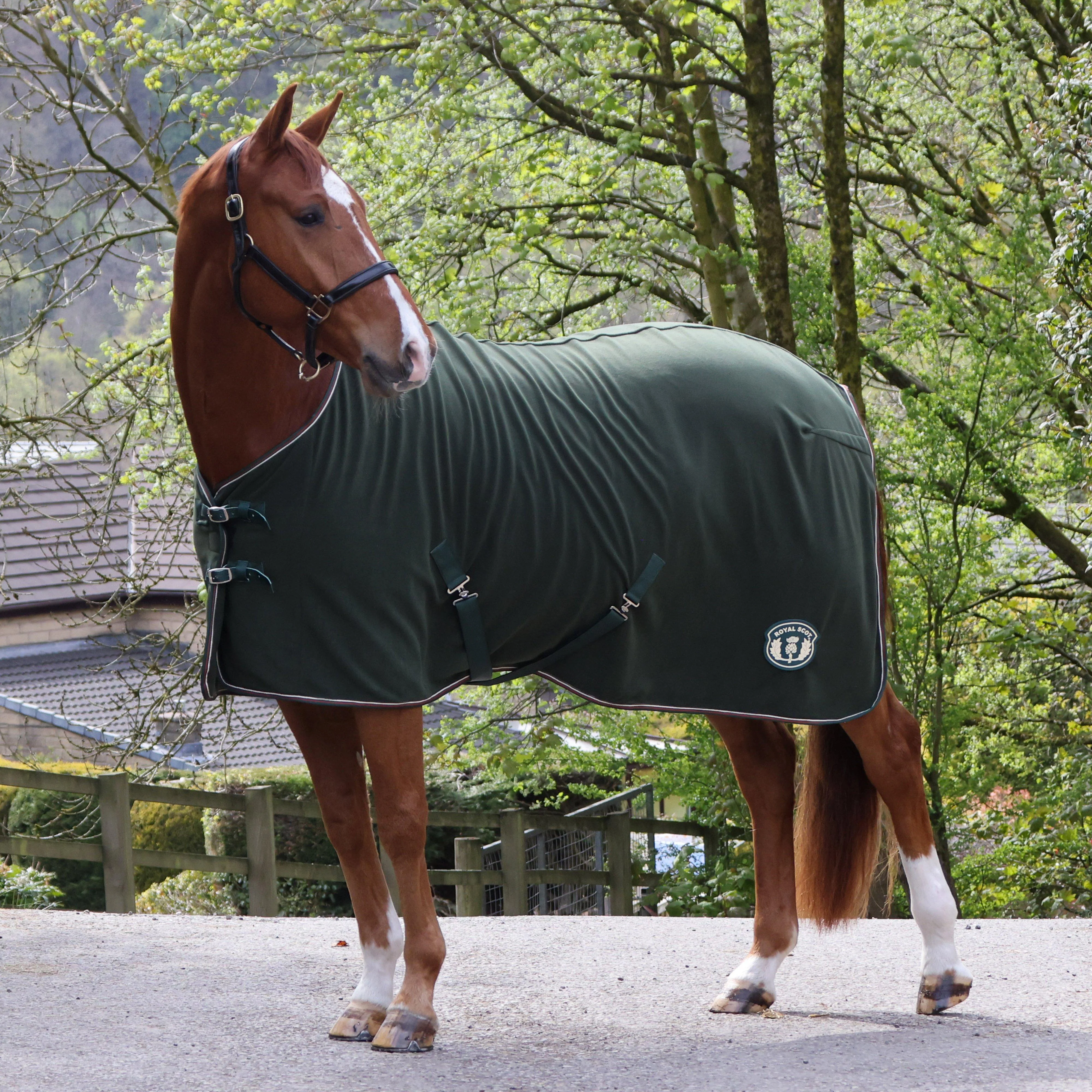 Original Fleece Standard Neck Rug Olive - Image 5