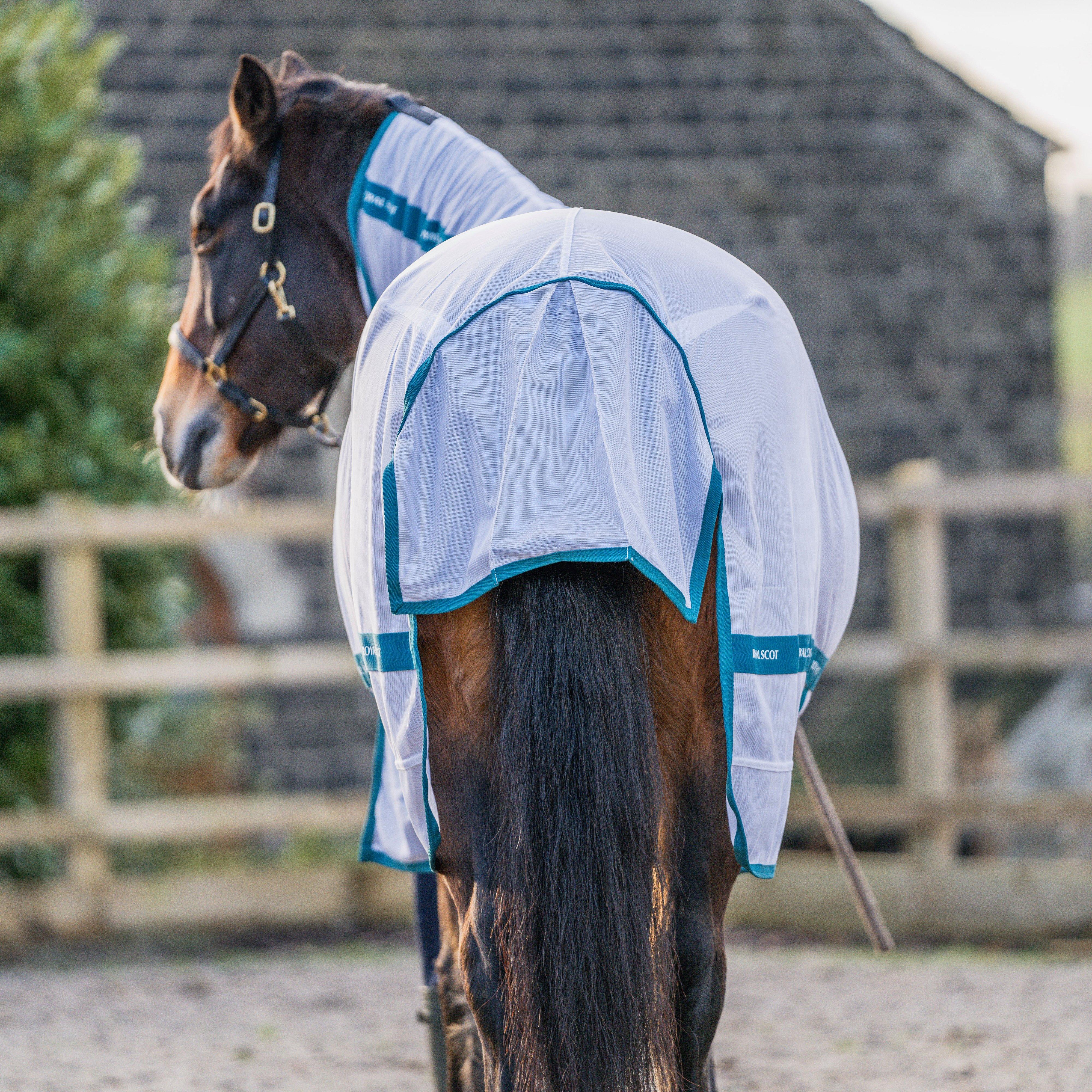 Original Fly Rug White/Ocean - Image 7