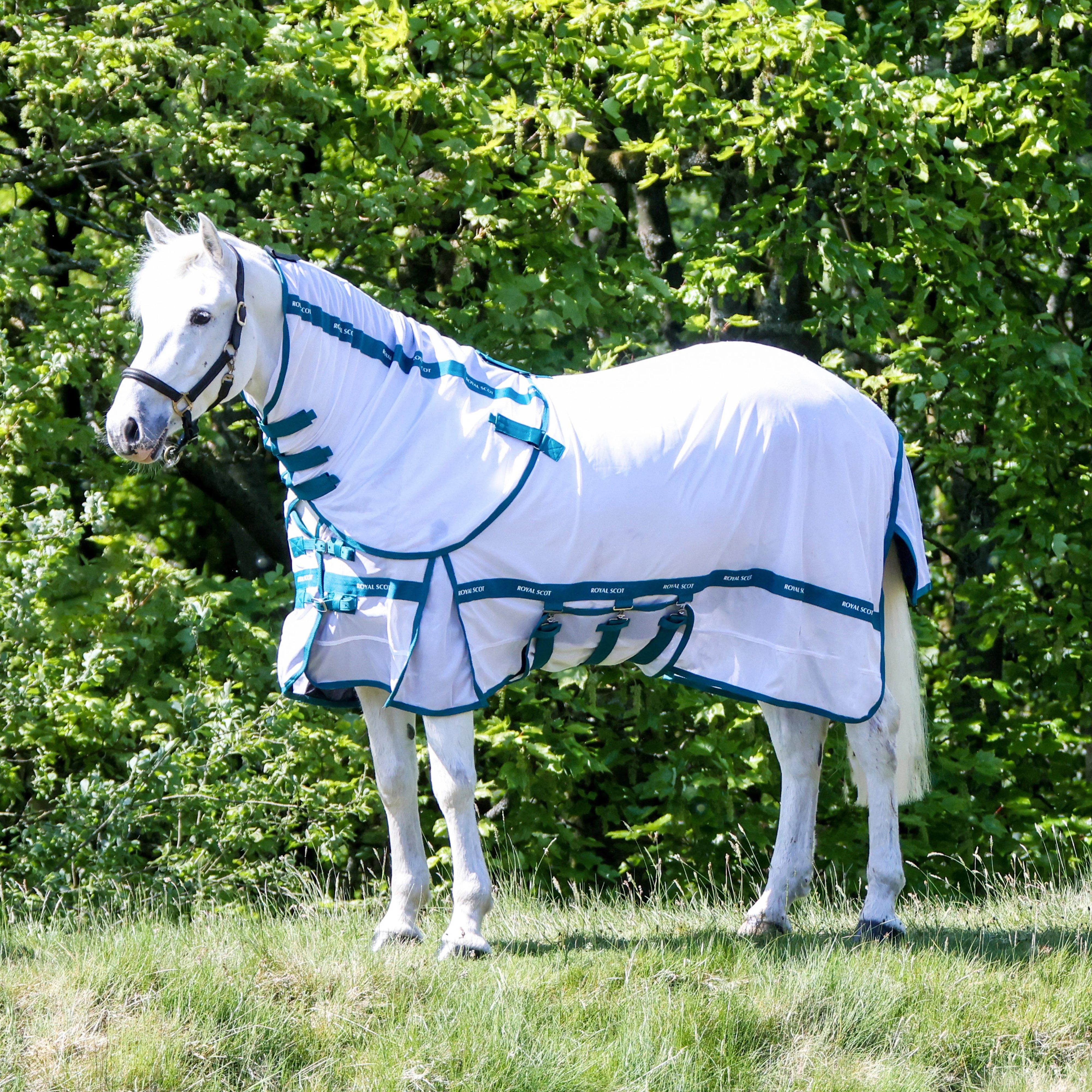 Original Fly Rug White/Ocean - Image 8
