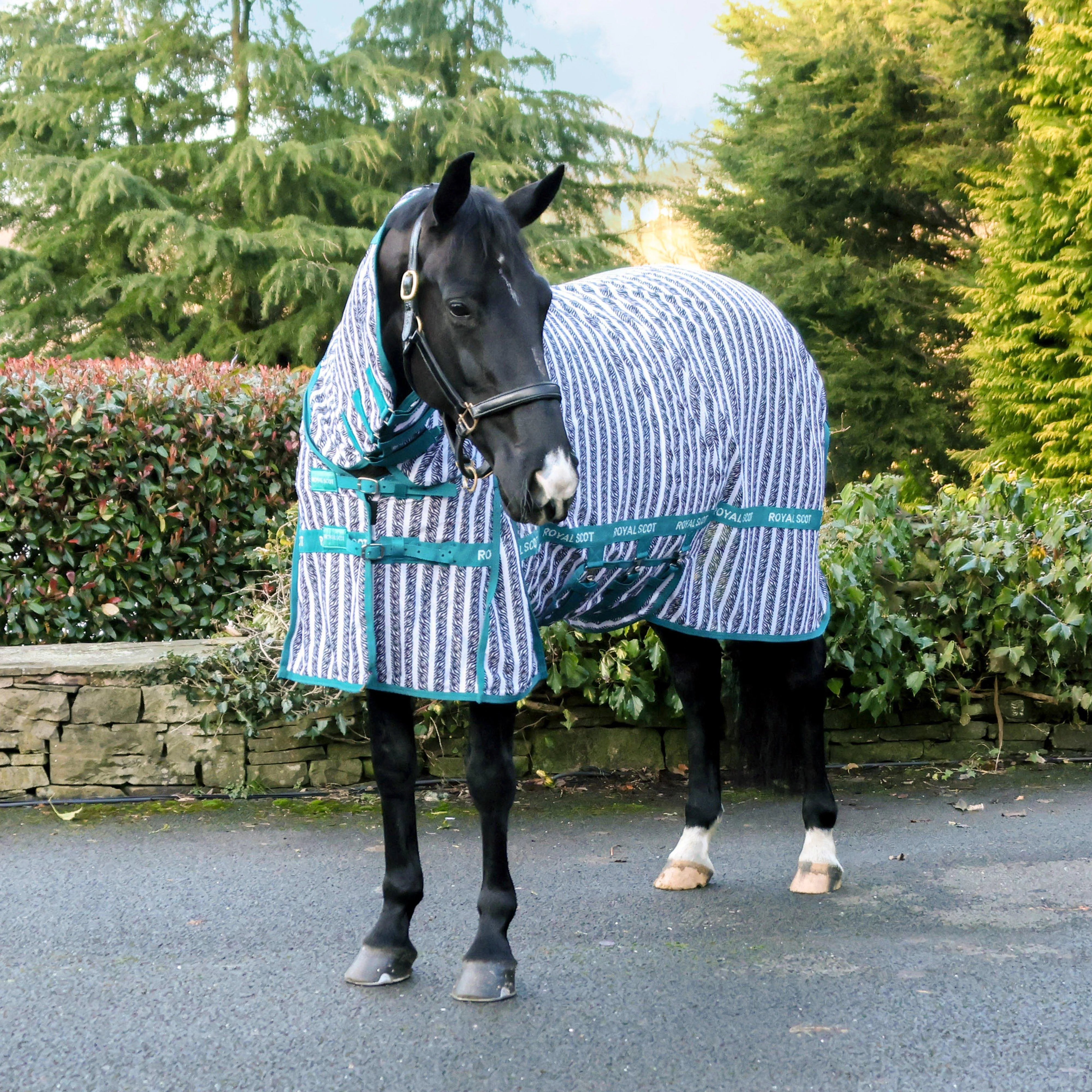 Original Zebra Stripe Fly Rug - Image 5
