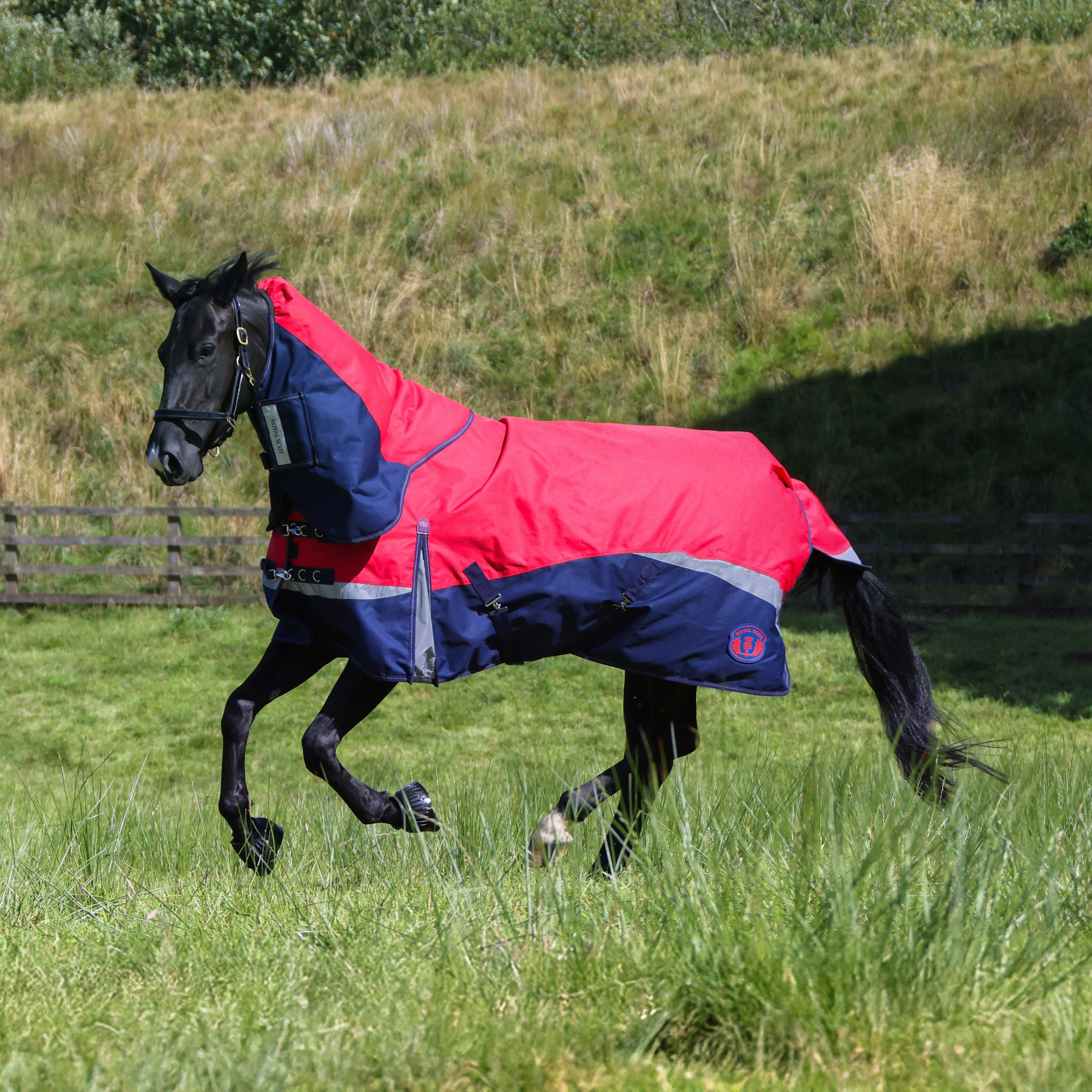 Pro 100g Turnout Rug Red/Navy - Image 3