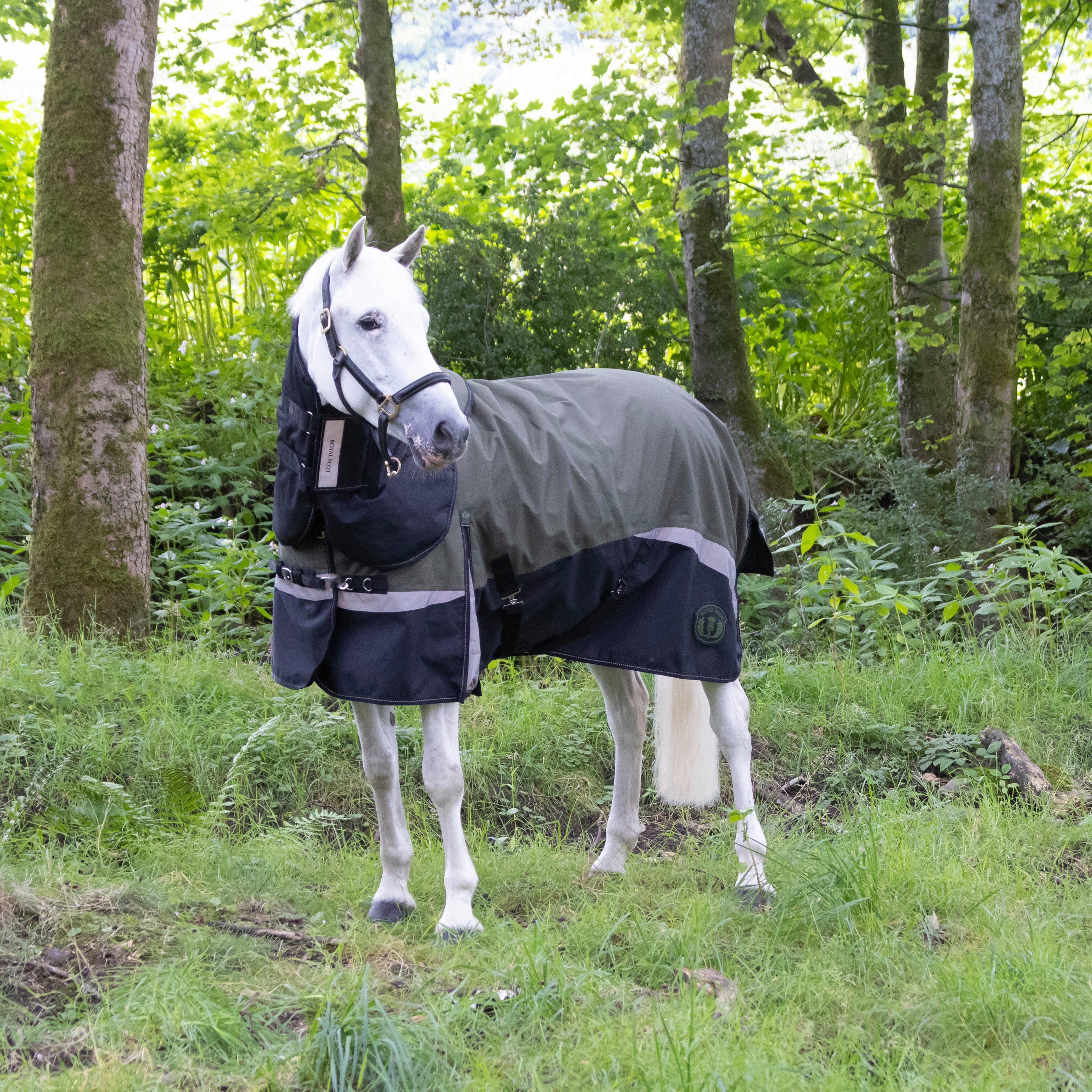 Pro 200g Turnout Rug Olive/Black - Image 2