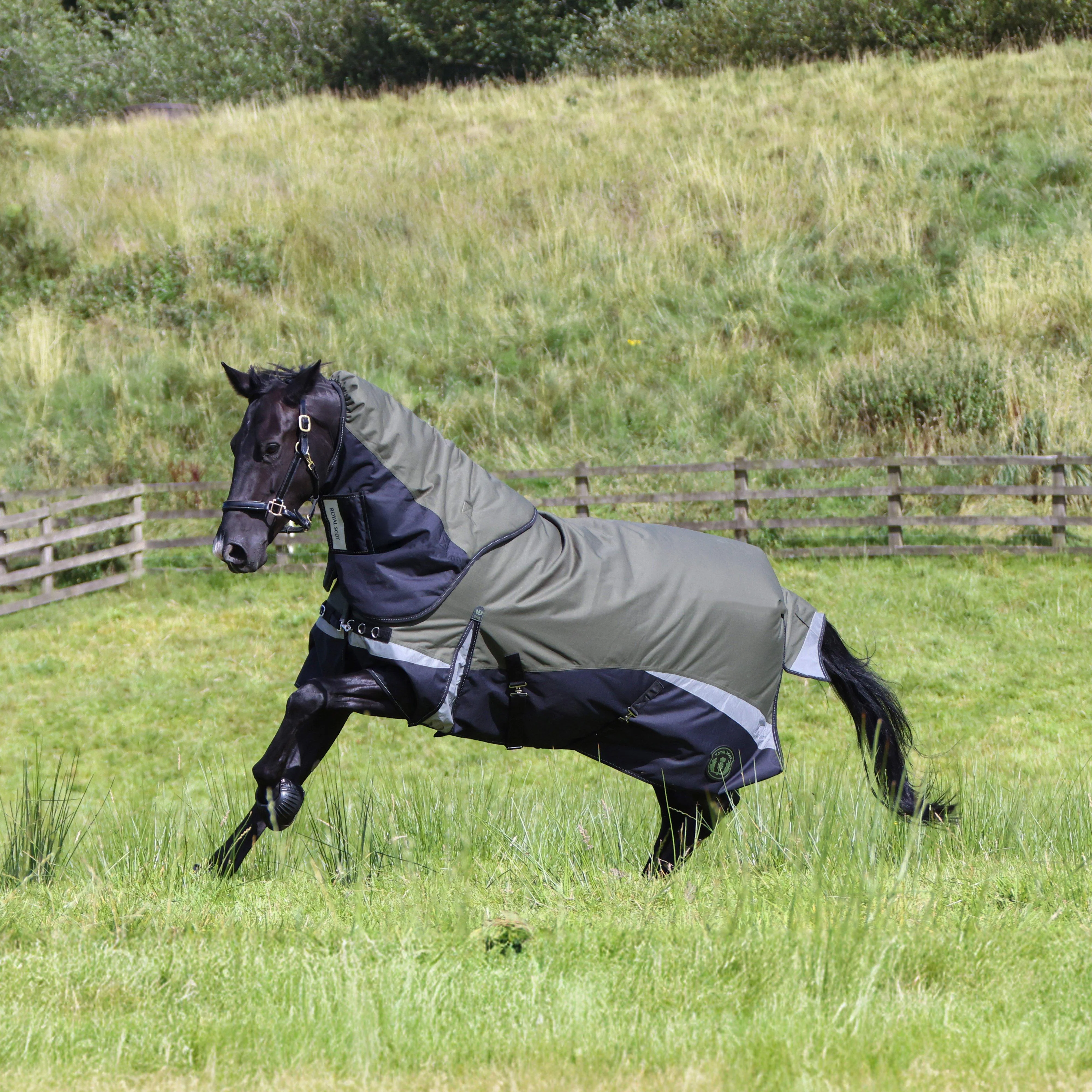 Pro 200g Turnout Rug Olive/Black - Image 3