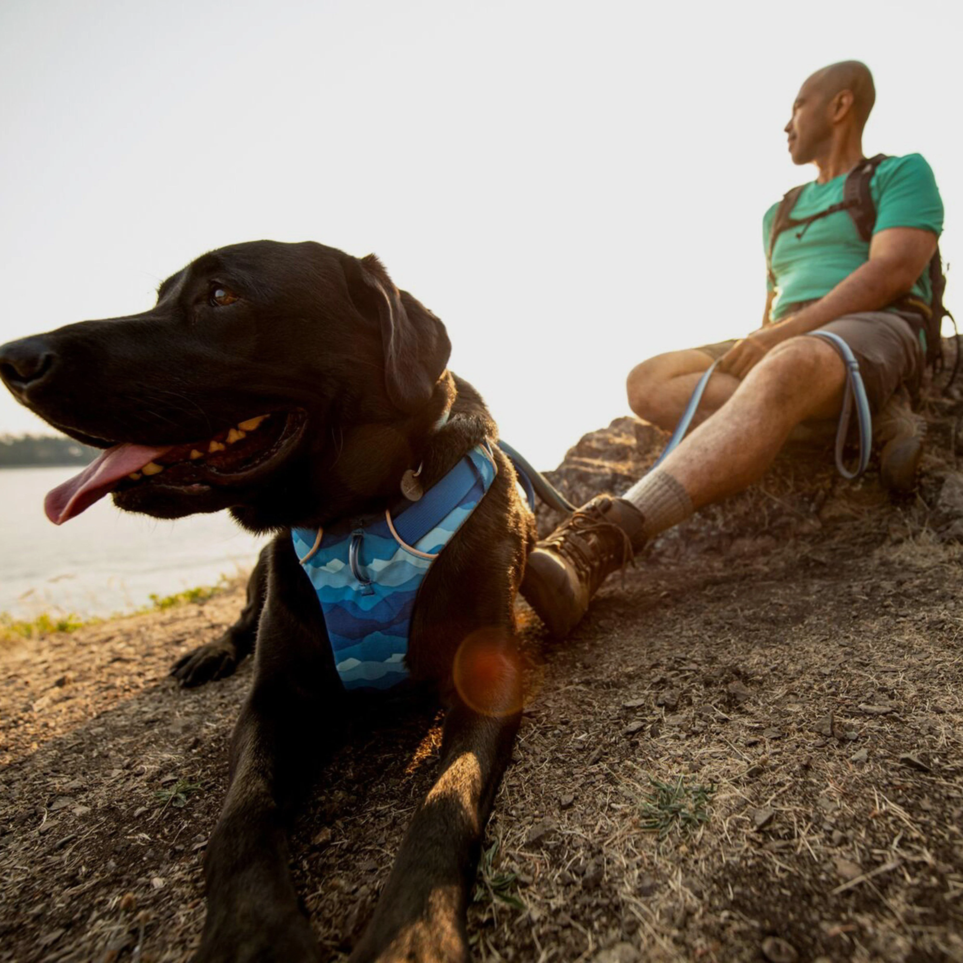 Front Range Dog Harness Coastal Mountains - Image 7