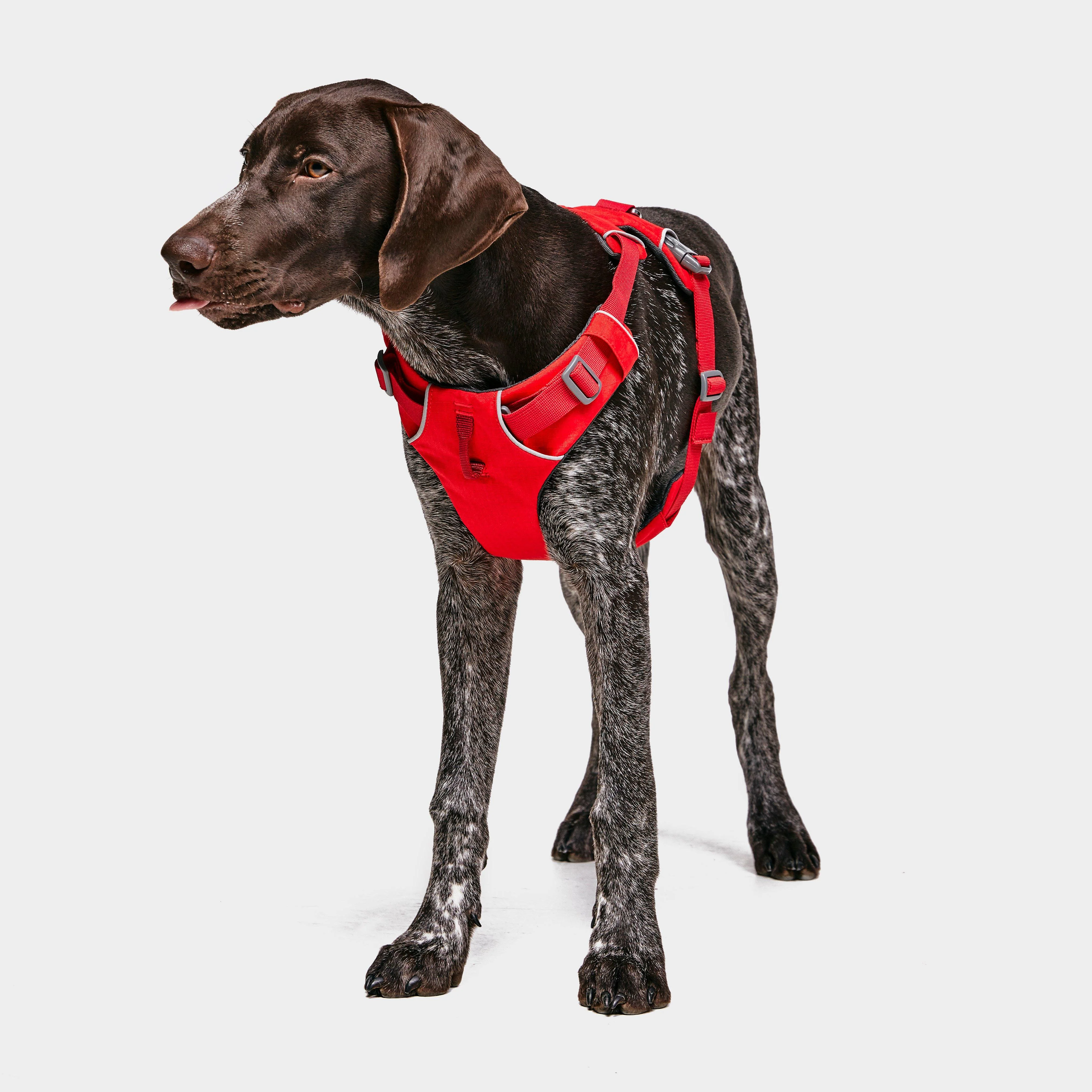 Front Range Dog Harness Red - Image 3