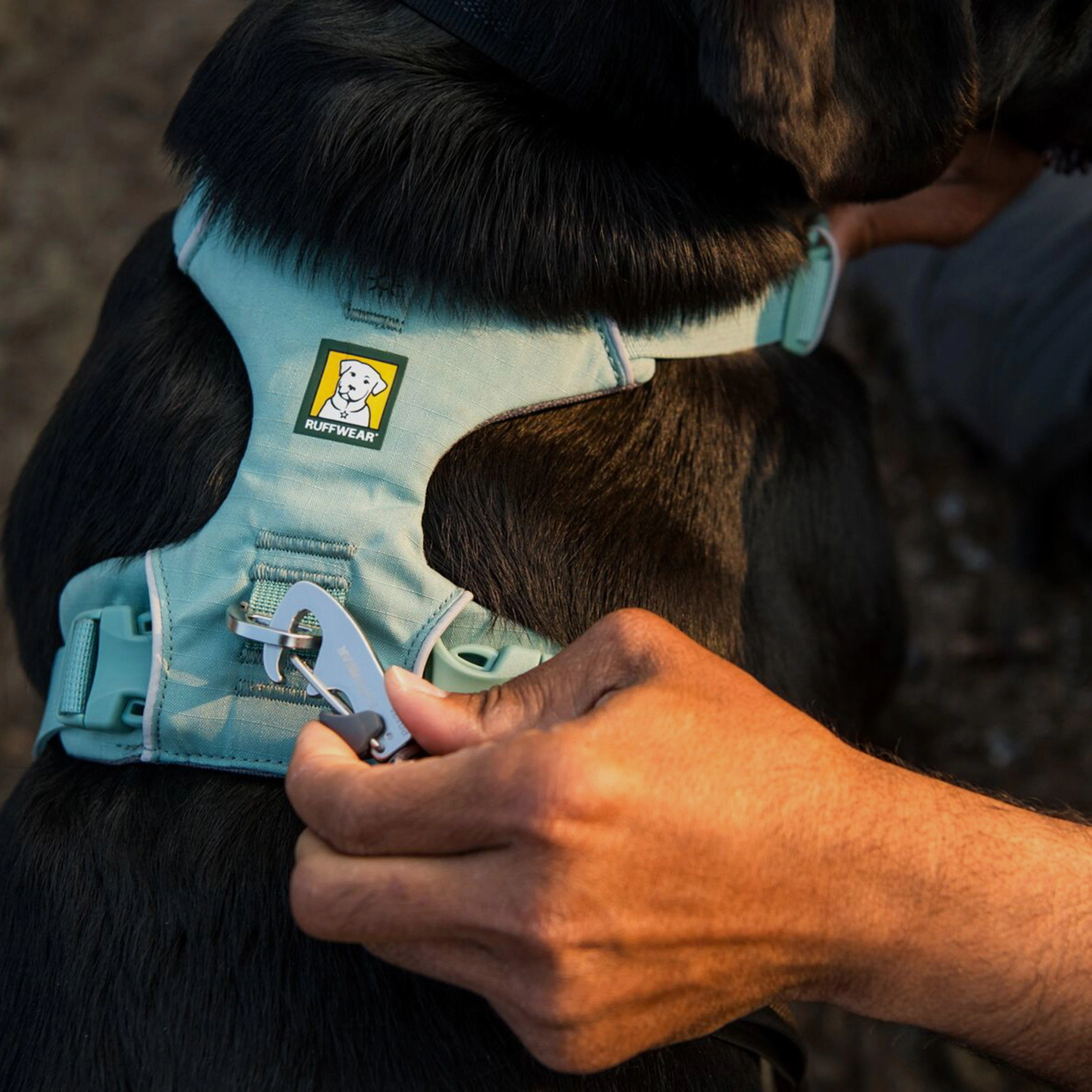 Front Range Dog Harness River Rock Green - Image 8