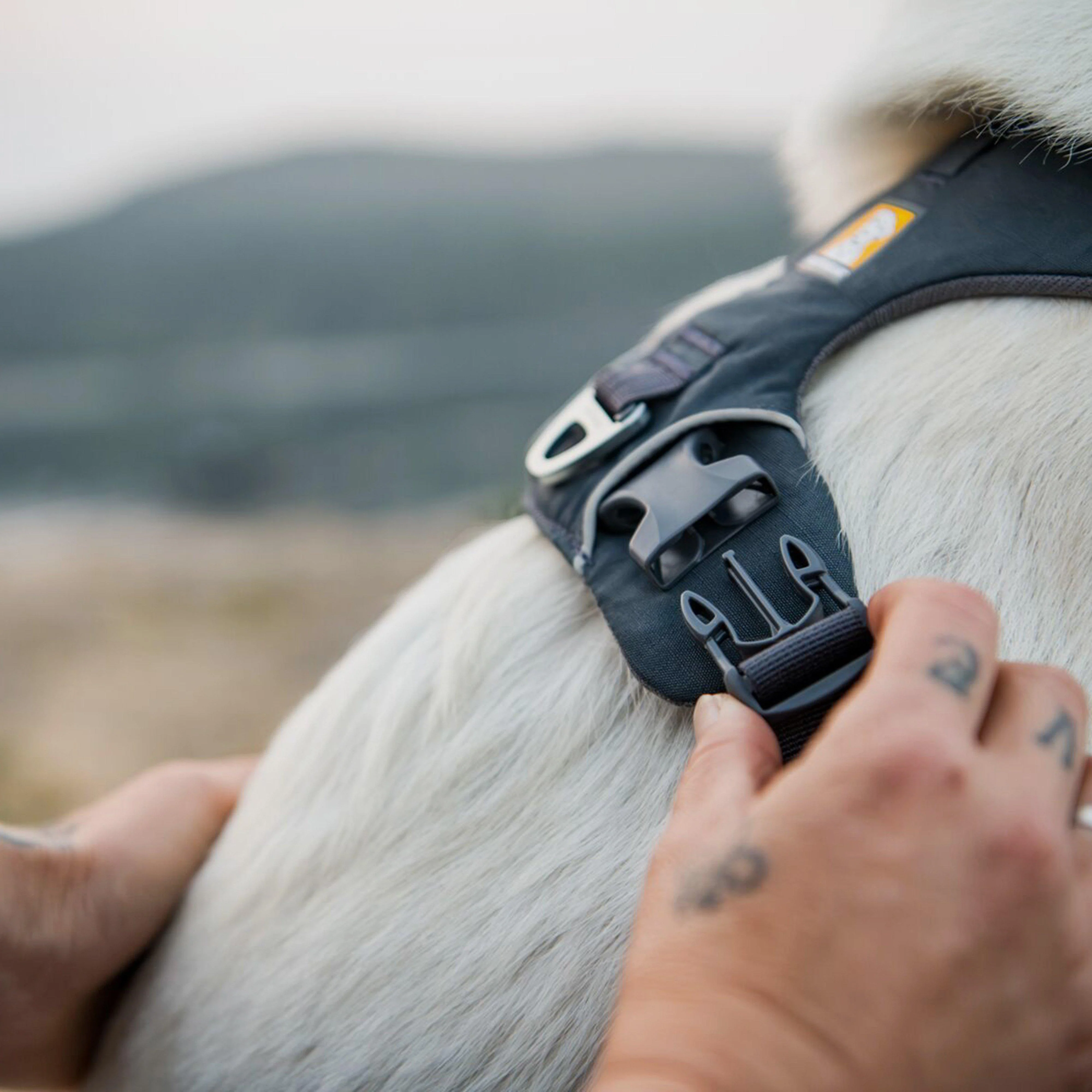 Front Range Dog Harness Twilight Grey - Image 7