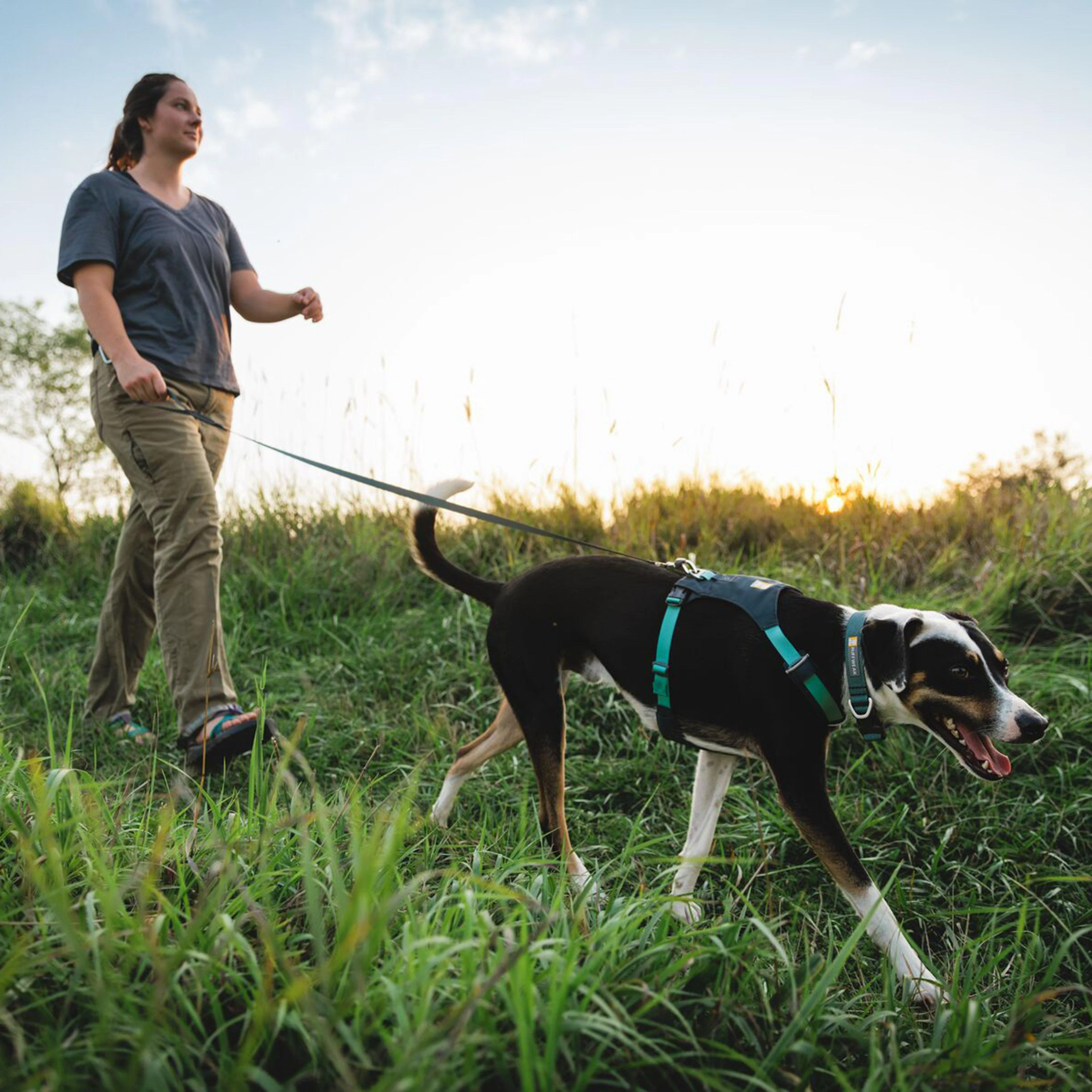 Hi & Light™ Lightweight Dog Harness Basalt Grey XS - Image 6